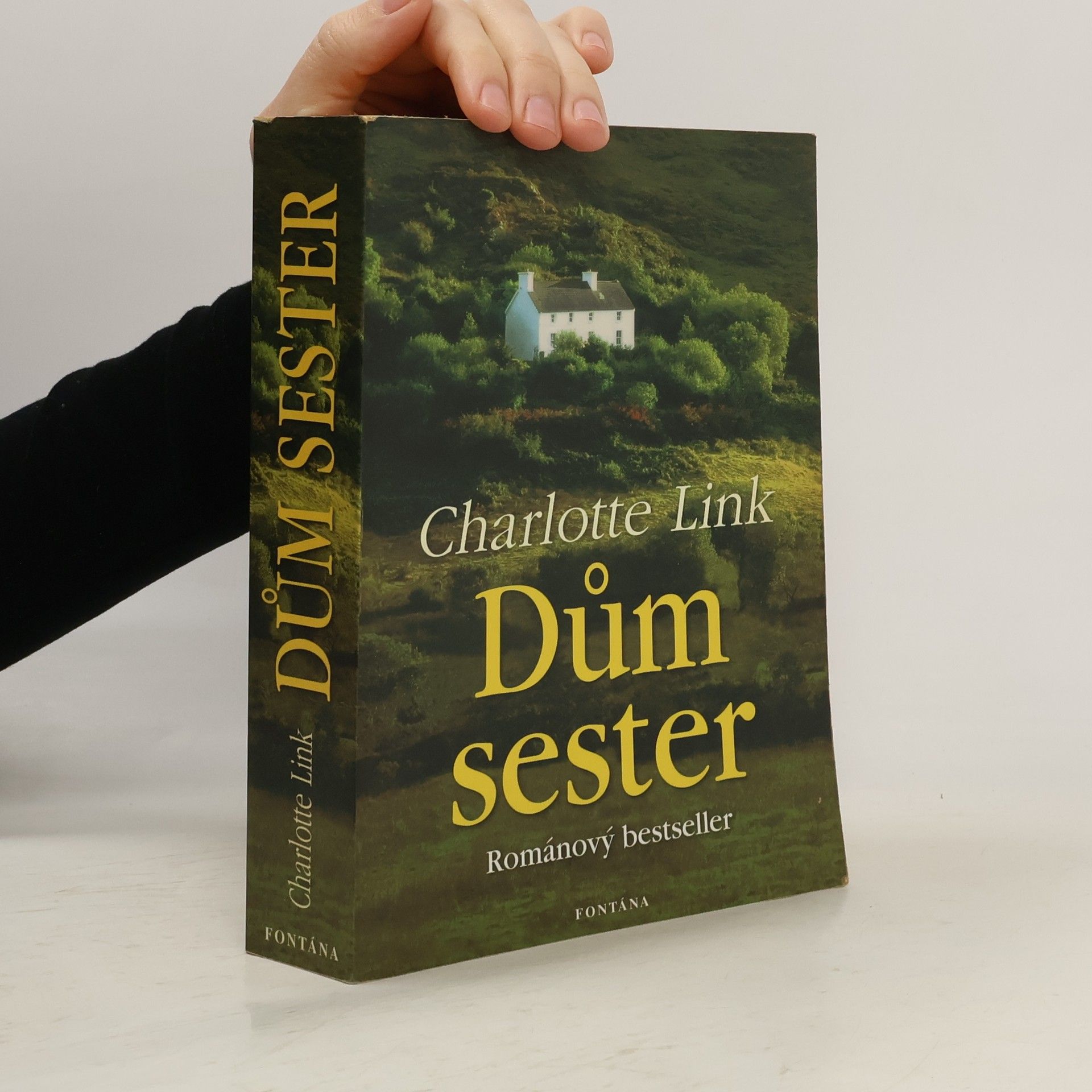 Charlotte Link Dům sester