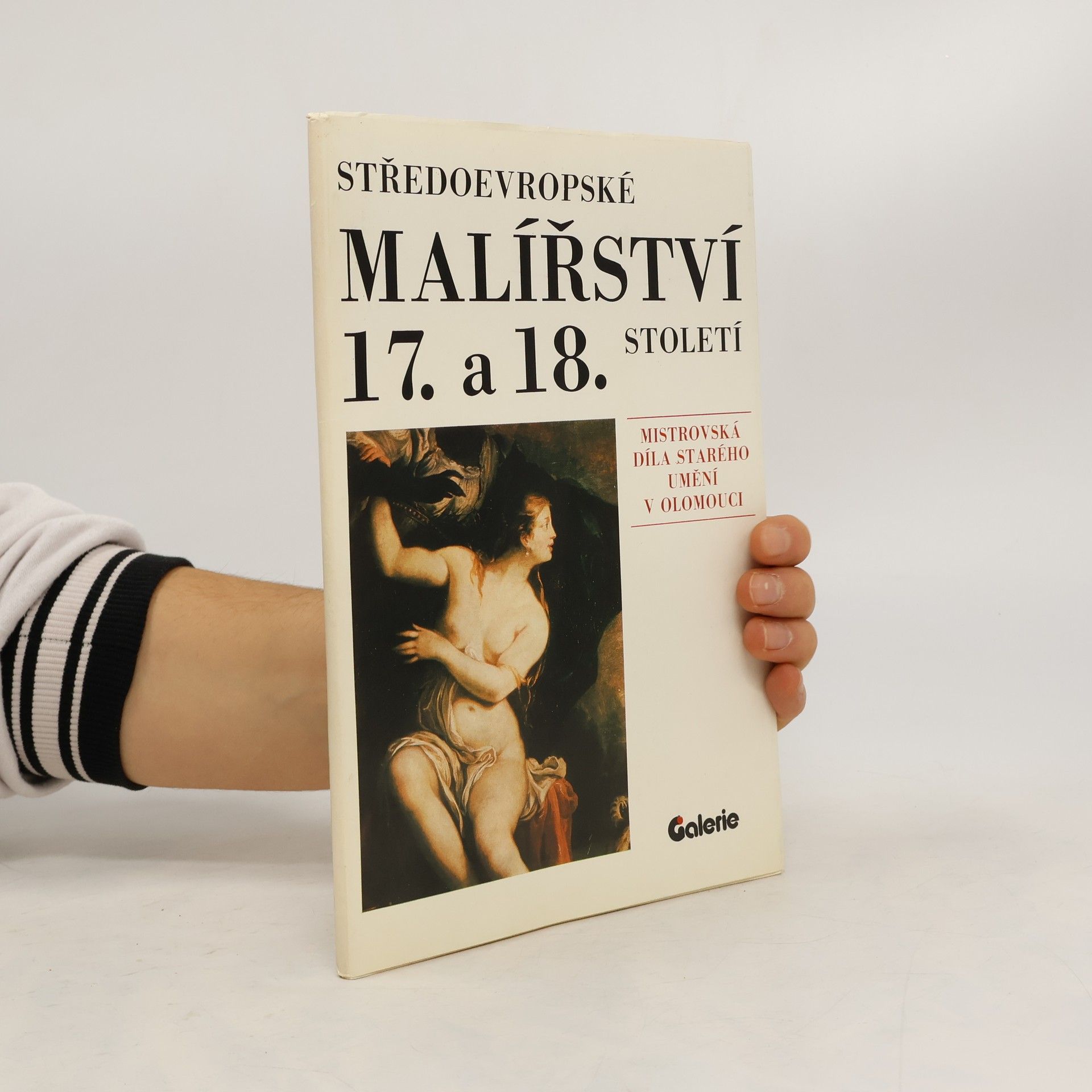 Kolektív autorov Středoevropské malířství 17. a 18. století