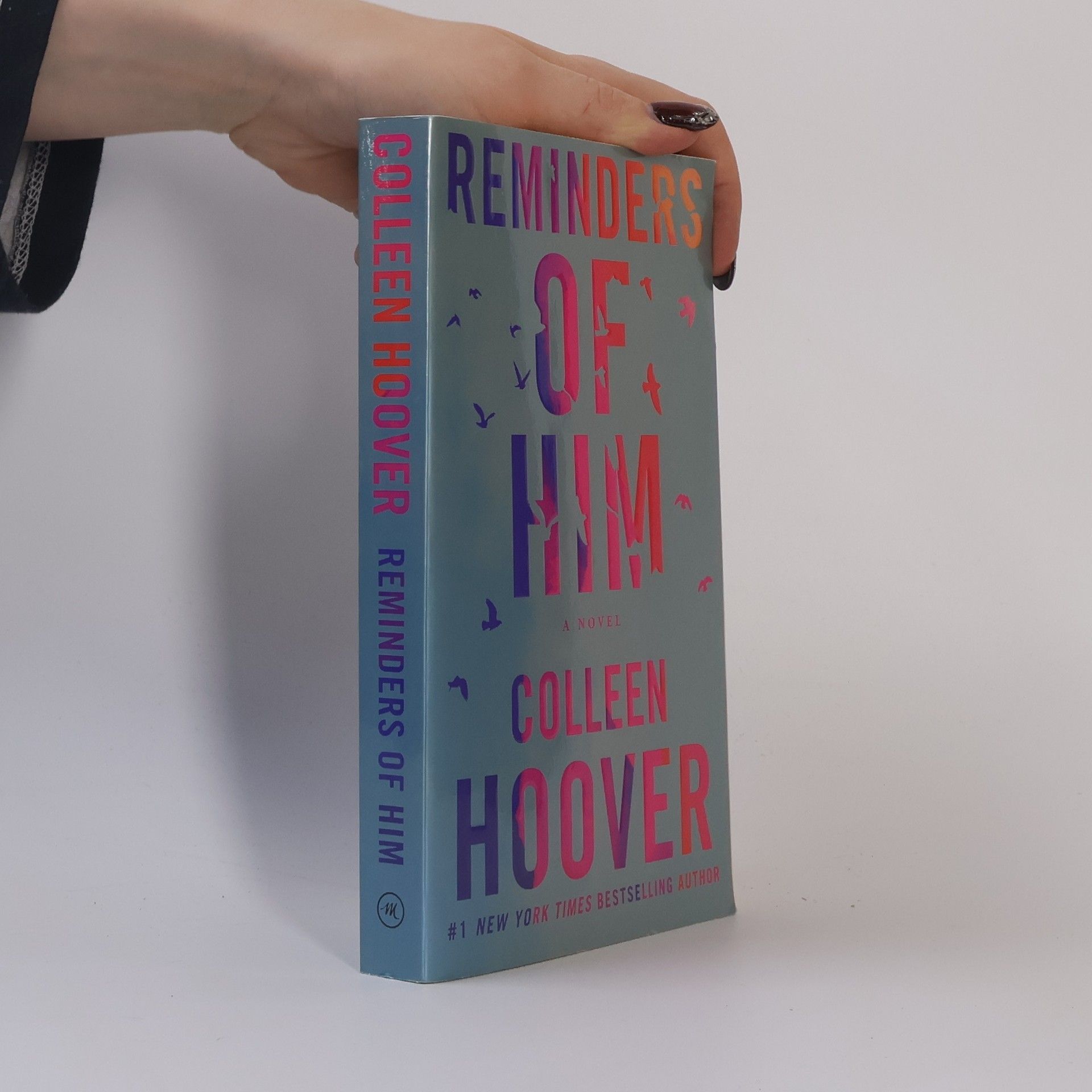 Colleen Hoover Reminders of him