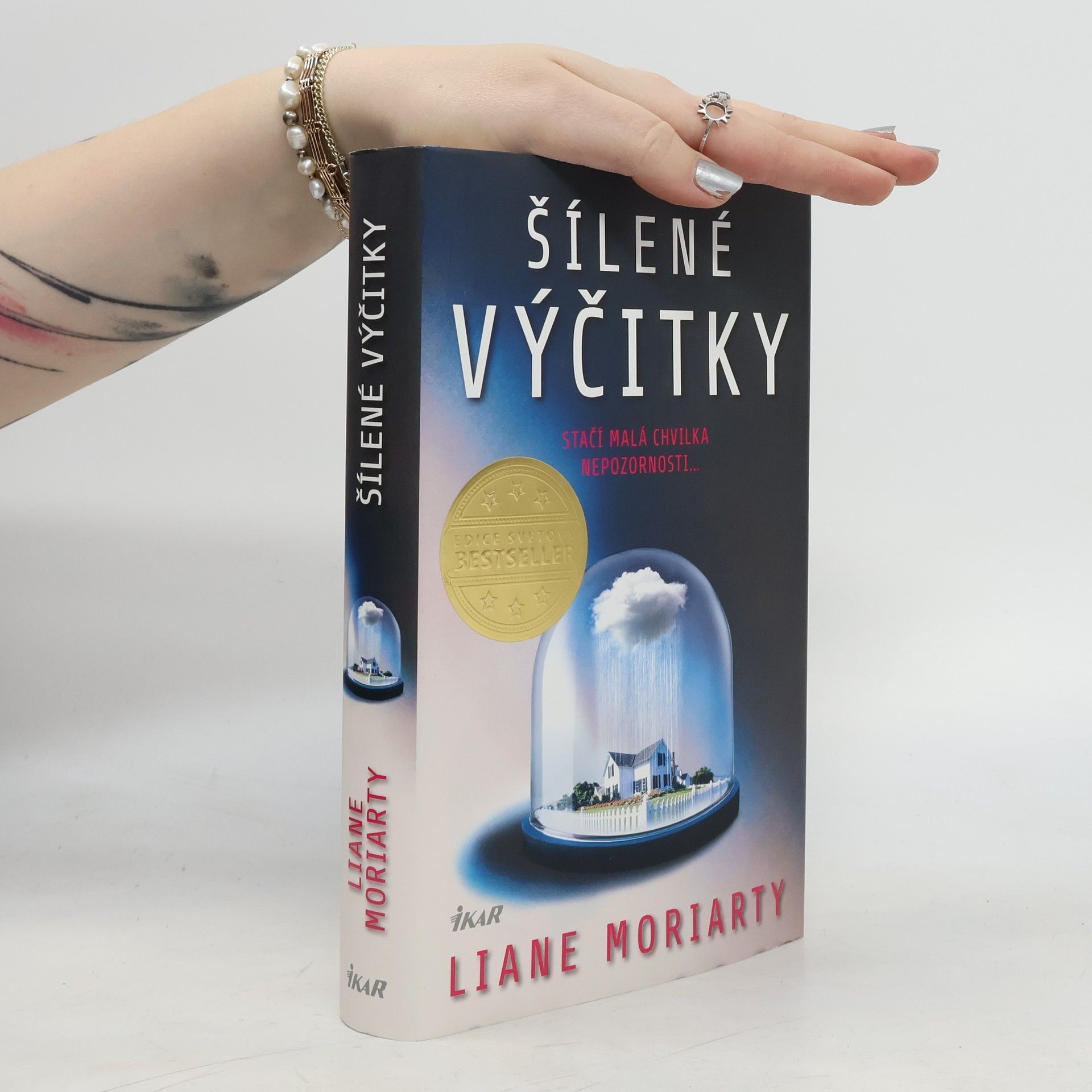Liane Moriarty Šílené výčitky