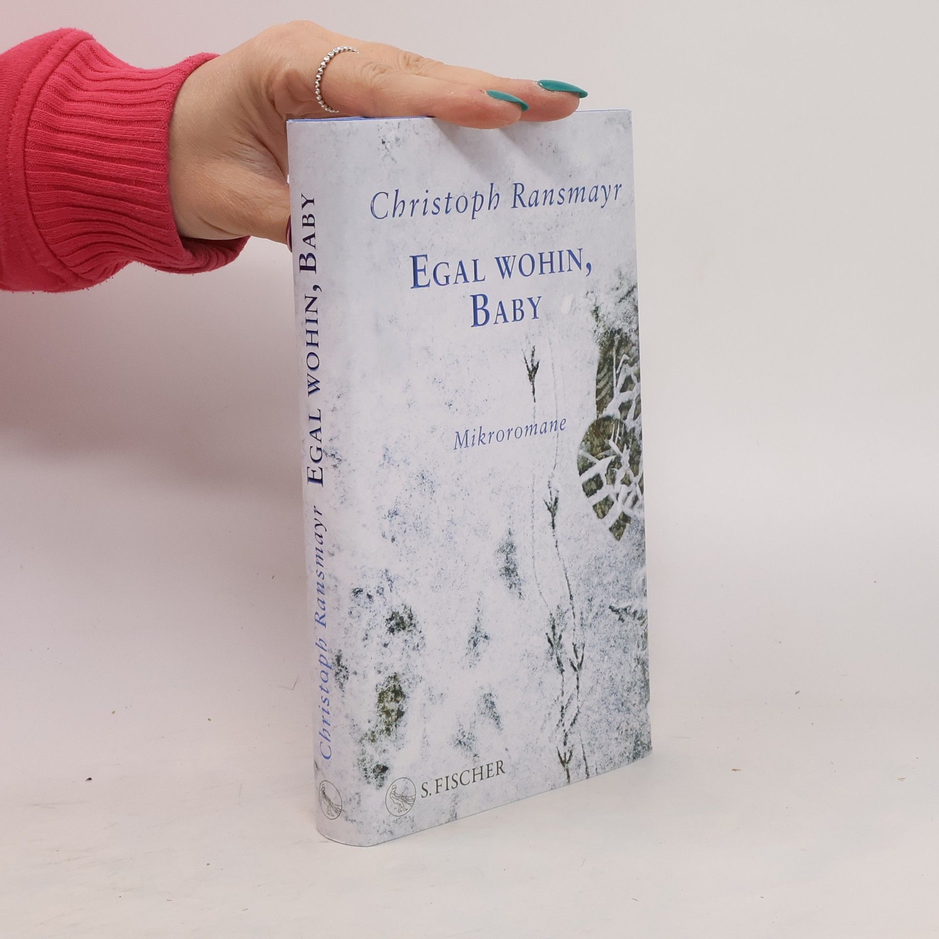 Christoph Ransmayr Egal wohin, Baby. Mikroromane