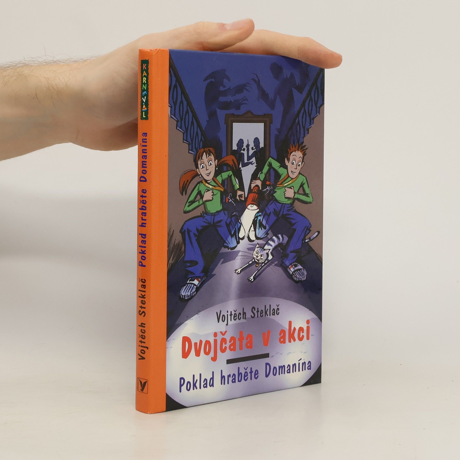 Vojtěch Steklač Dvojčata v akci. Poklad hraběte Domanína