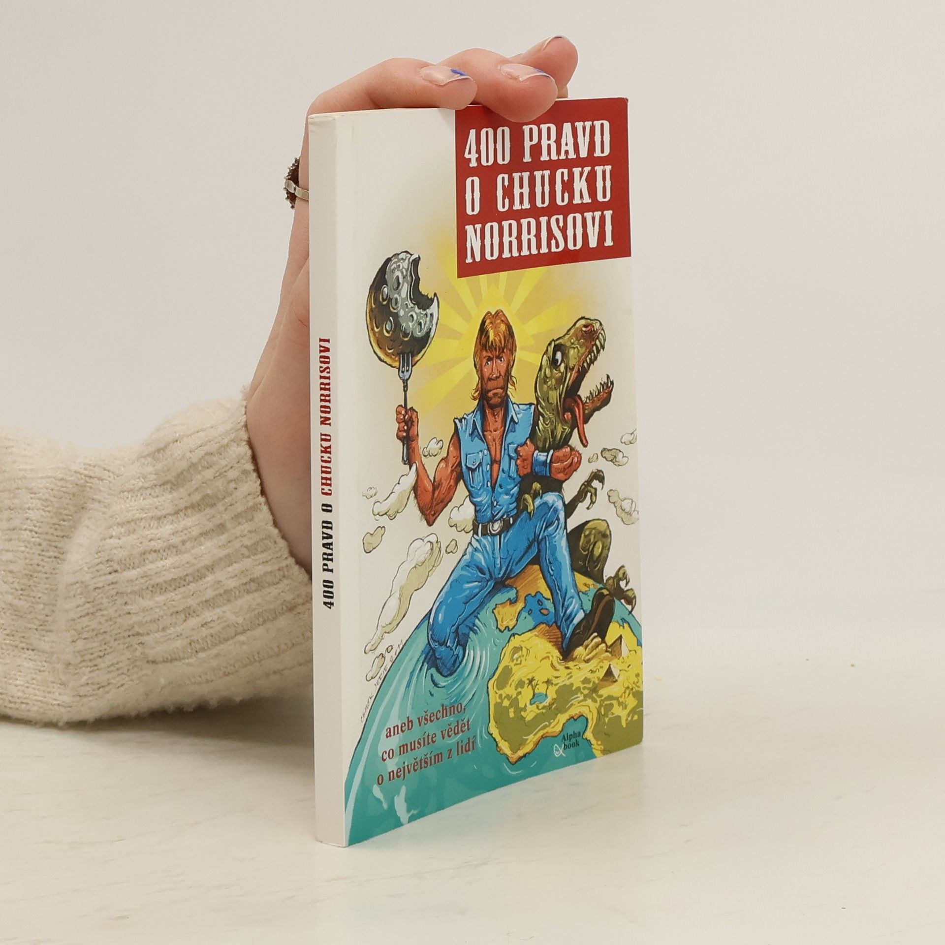 Autorenkollektiv 400 pravd o Chucku Norrisovi