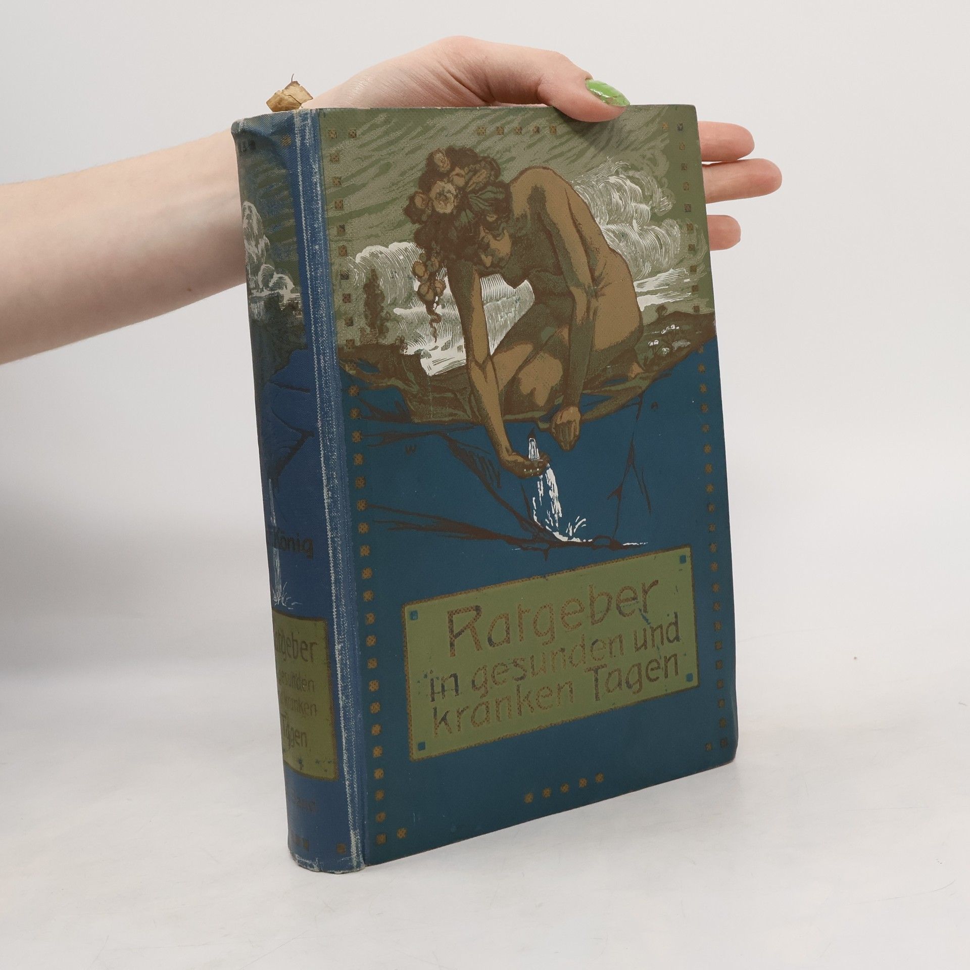 Franz König Ratgeber in gesunden und Kranken Tagen II