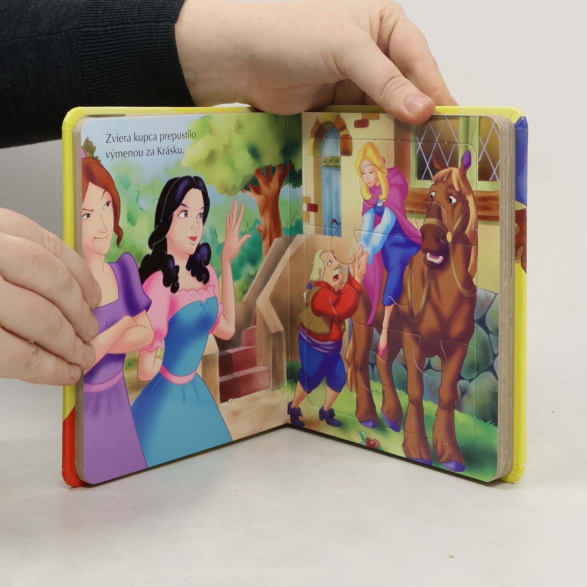 Autorenkollektiv Rozprávka s puzzle. Kráska a zviera