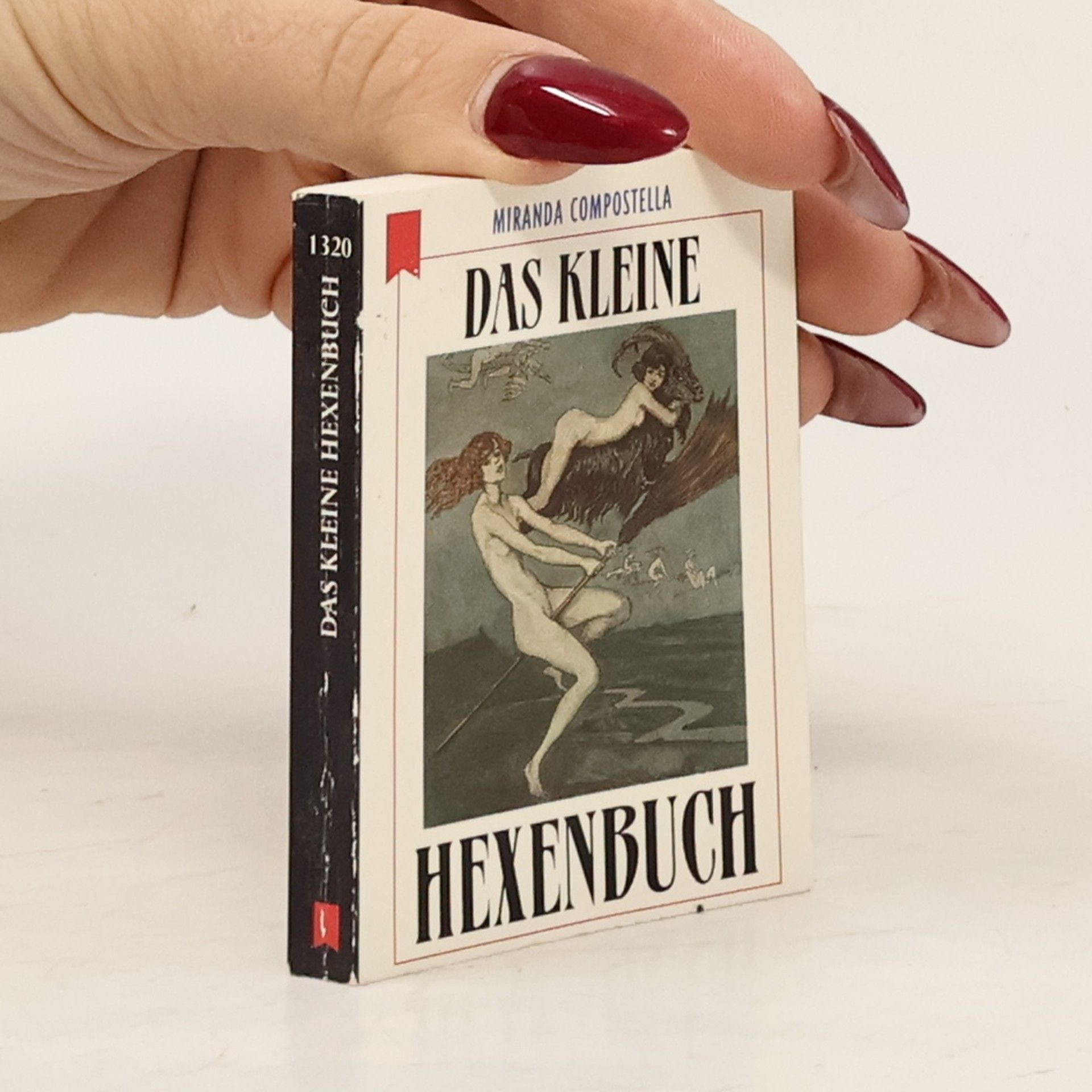 Miranda Compostella Das kleine Hexenbuch