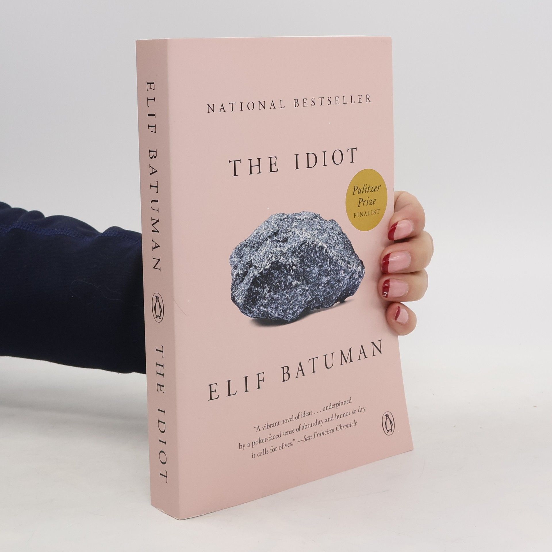 Elif Batuman The Idiot