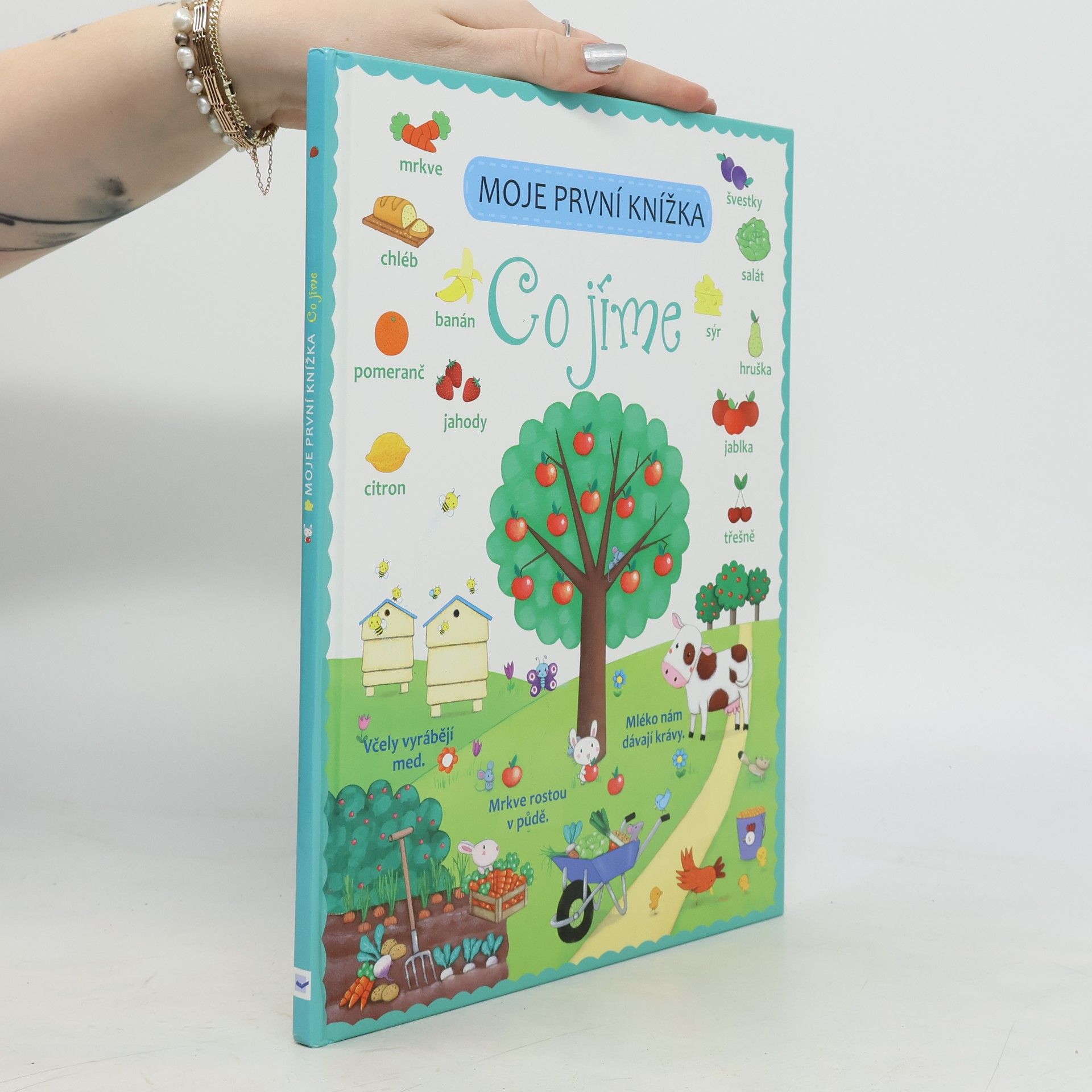 Felicity Brooks Moje první knížka. Co jíme.