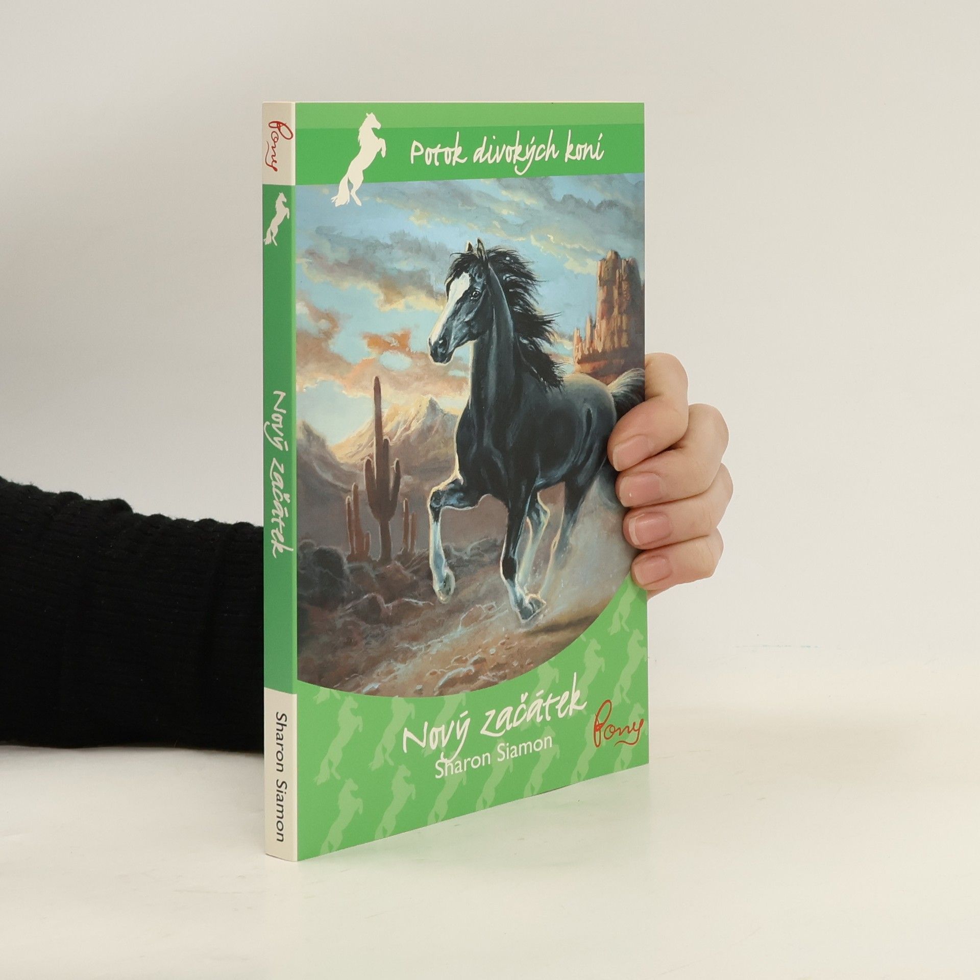 Potok divokých koní. 6. díl. Nový začátek.