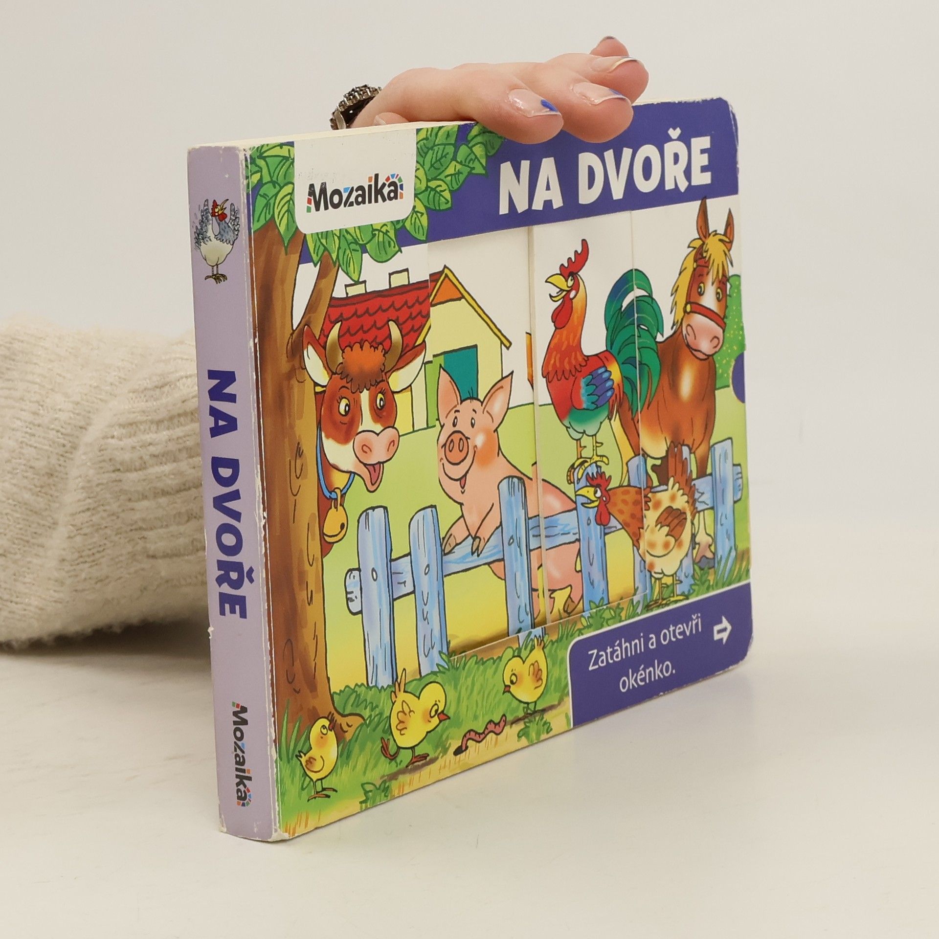 Antonín Šplíchal Na dvoře