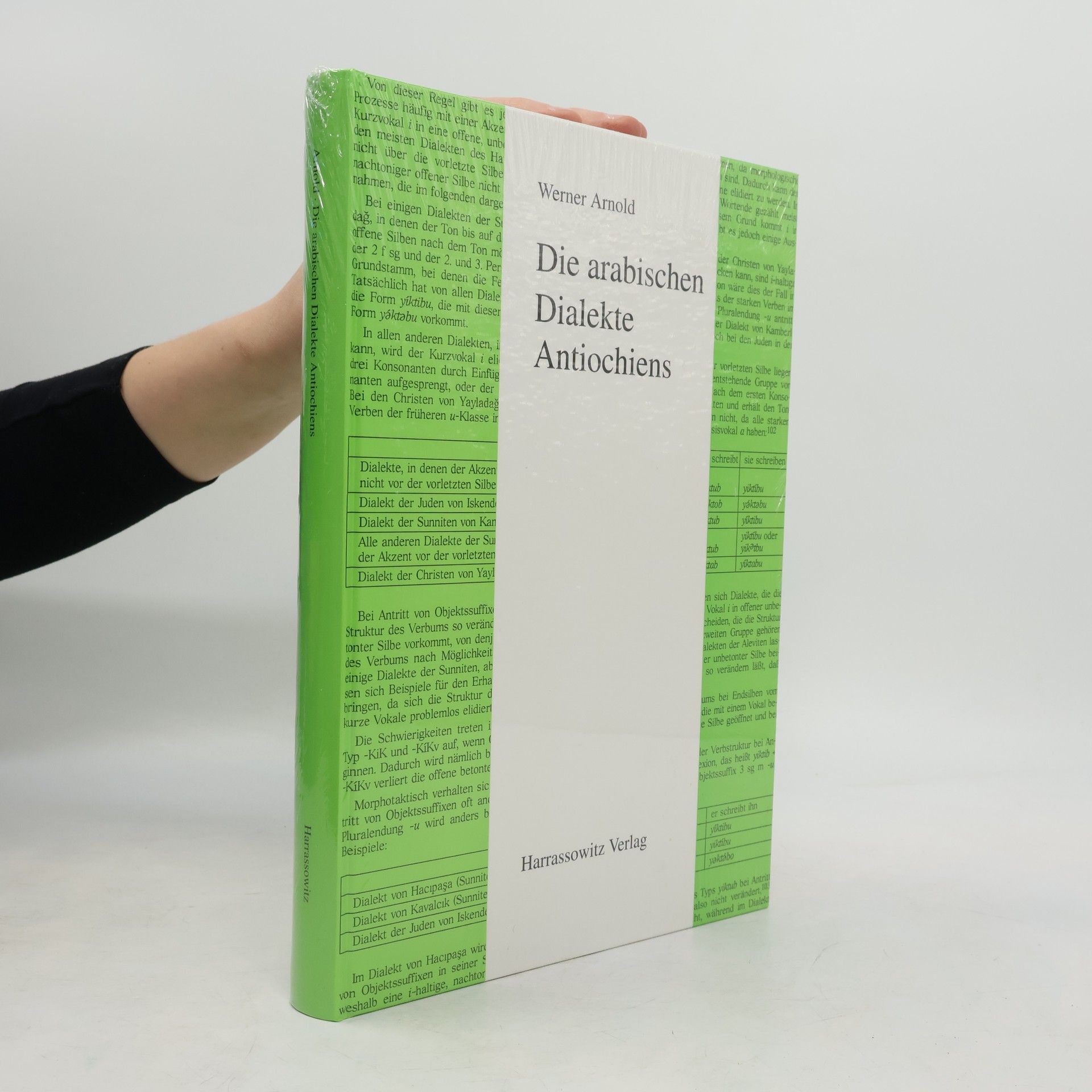 Die arabischen Dialekte Antiochiens