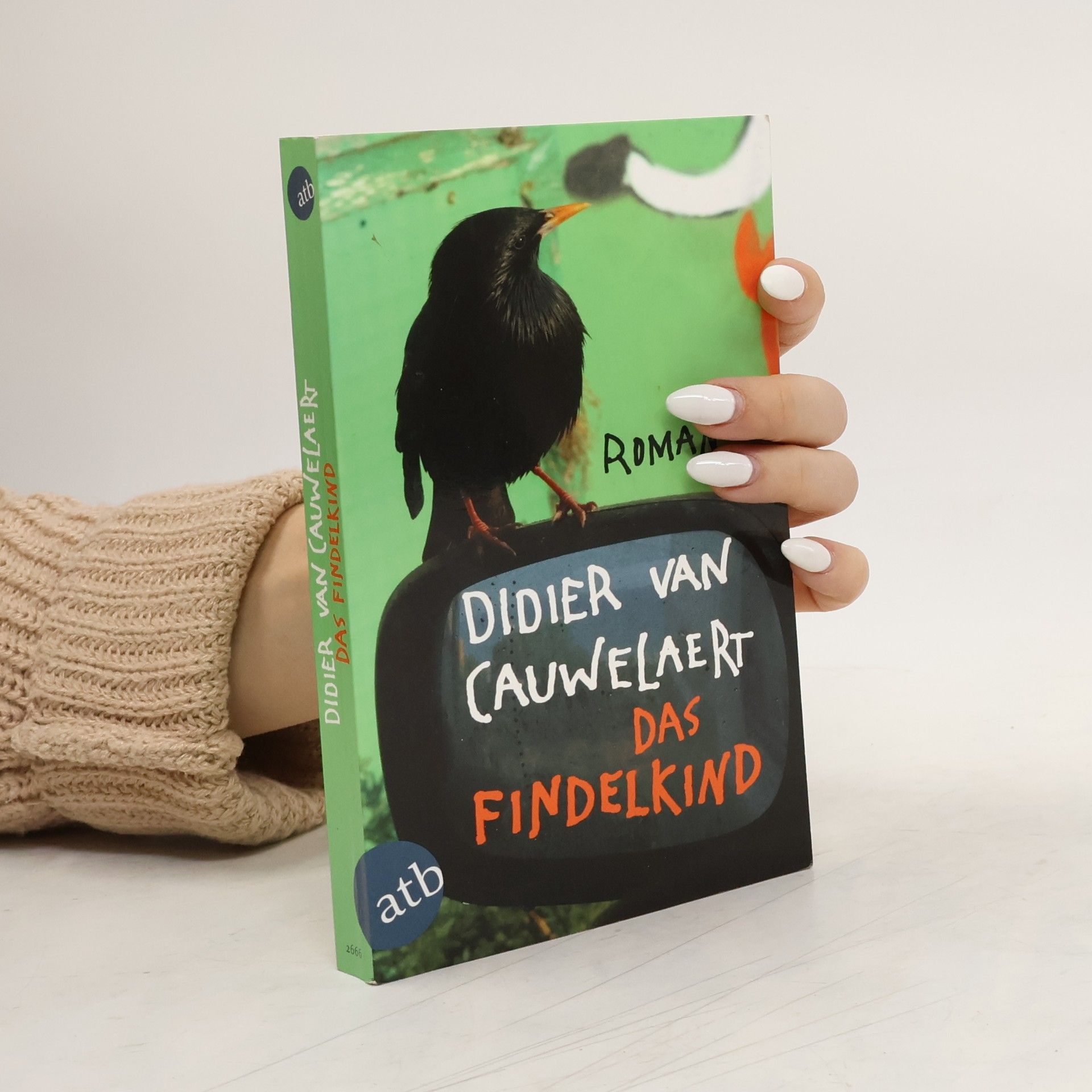 Didier Van Cauwelaert Das Findelkind