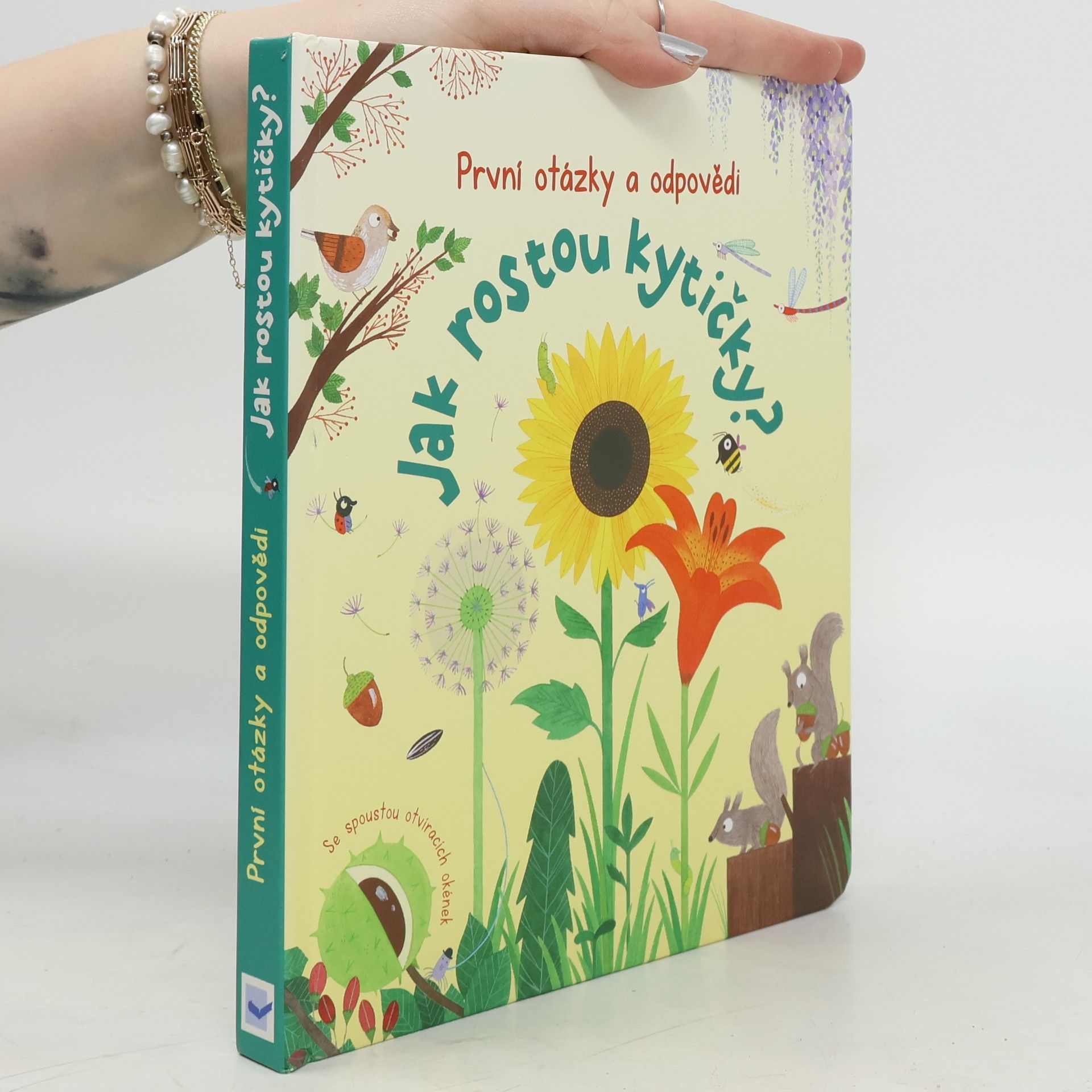 Katie Daynes Jak rostou kytičky?