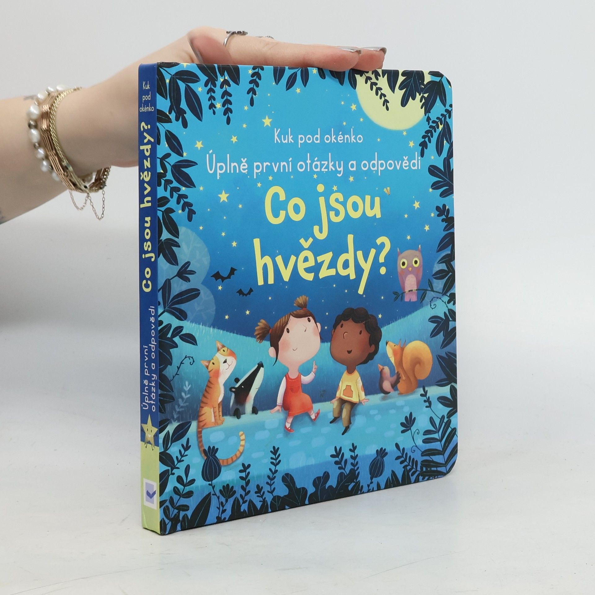 Katie Daynes Co jsou hvězdy?