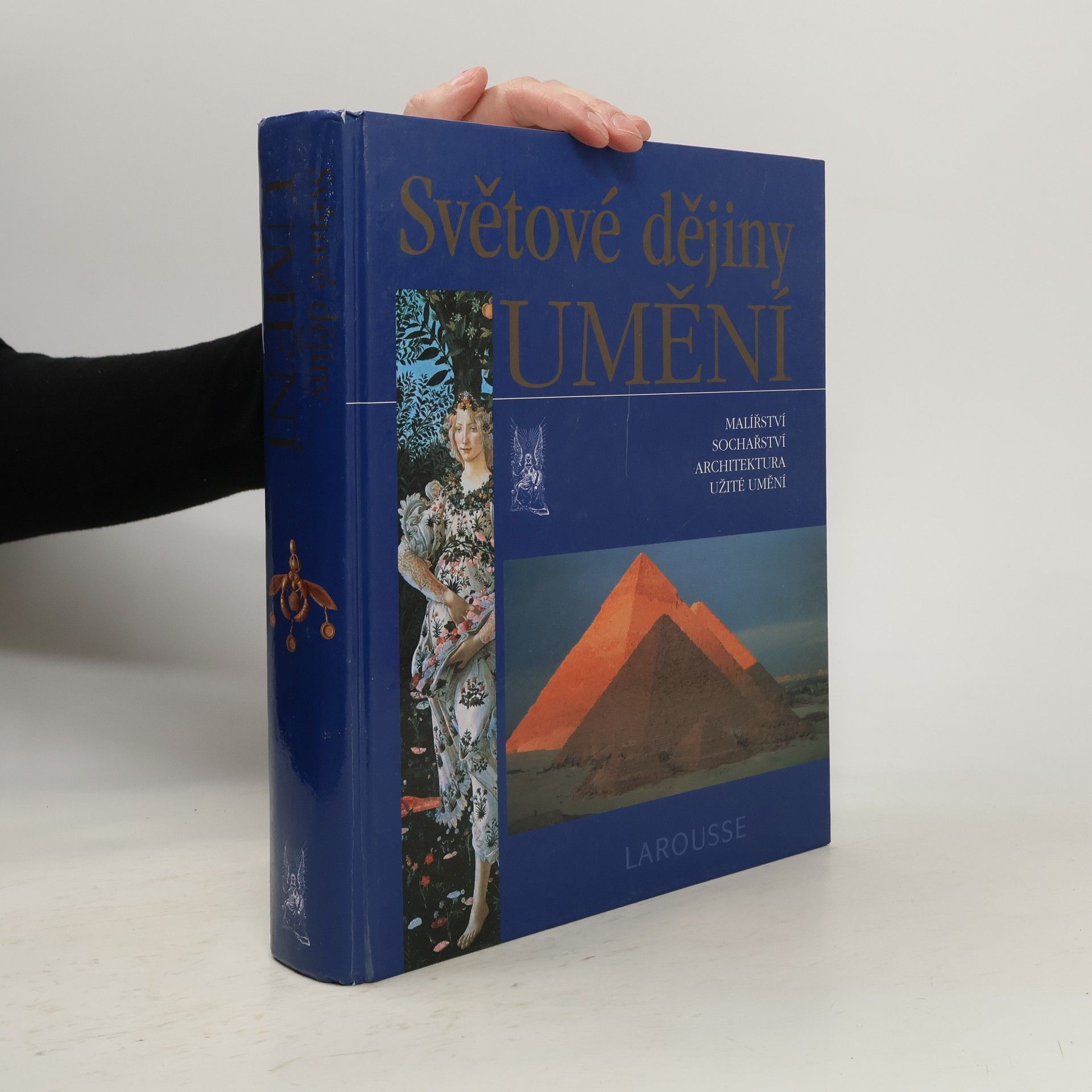 Albert Châtelet Světové dějiny umění : malířství, sochařství, architektura, užité umění