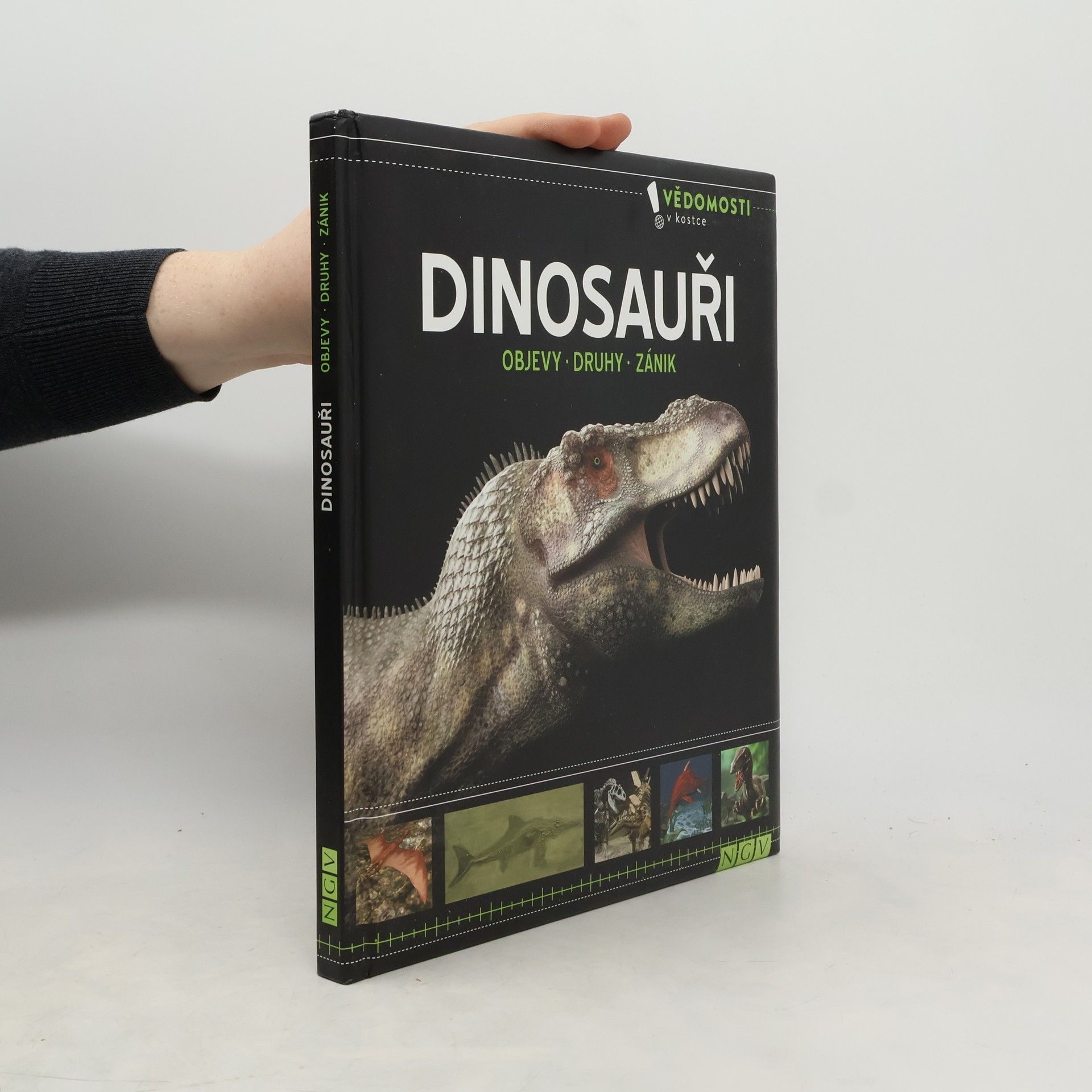 Kolektiv autorů Dinosauři