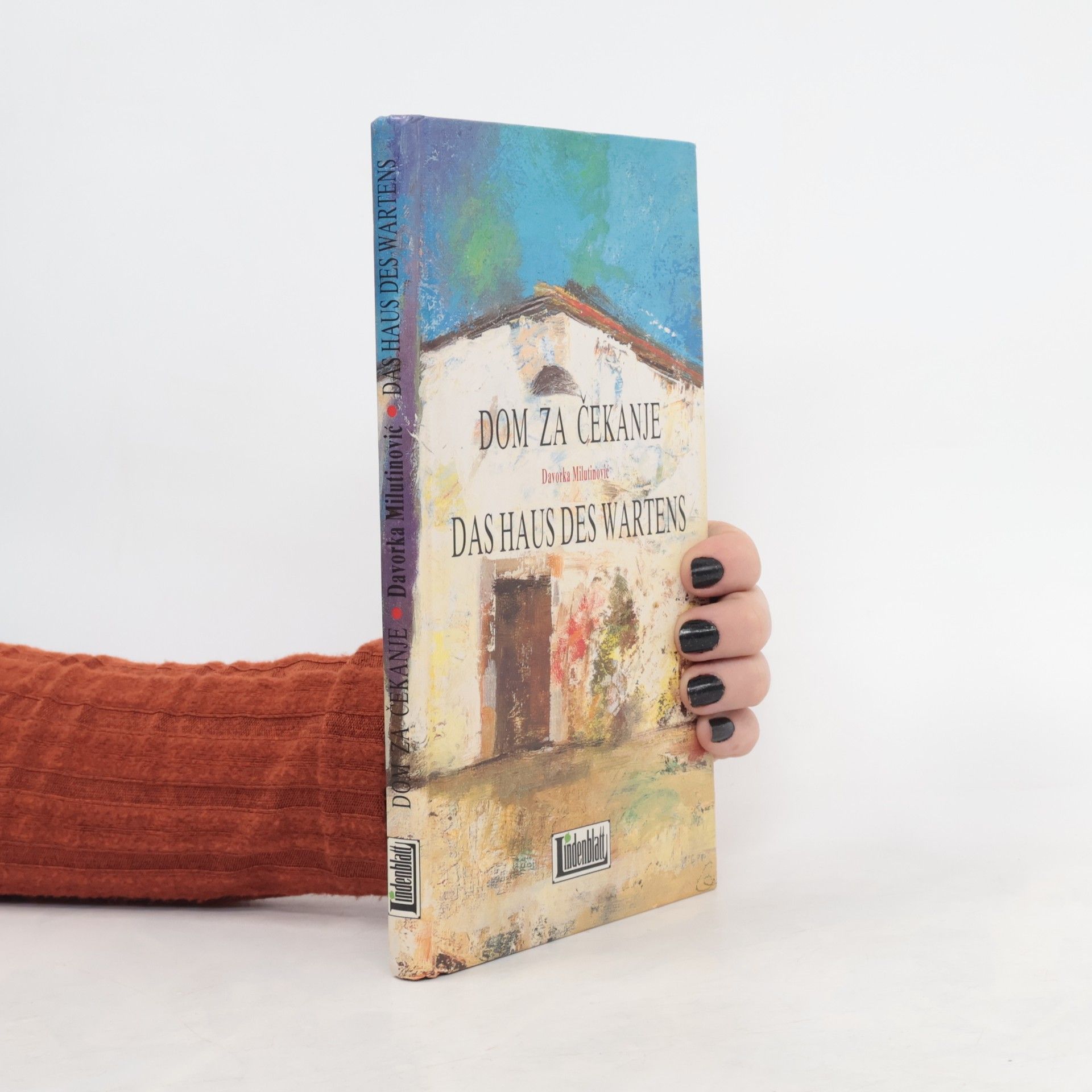 Davorka Milutinovic Dom za čekanje. Das Haus des Wartens