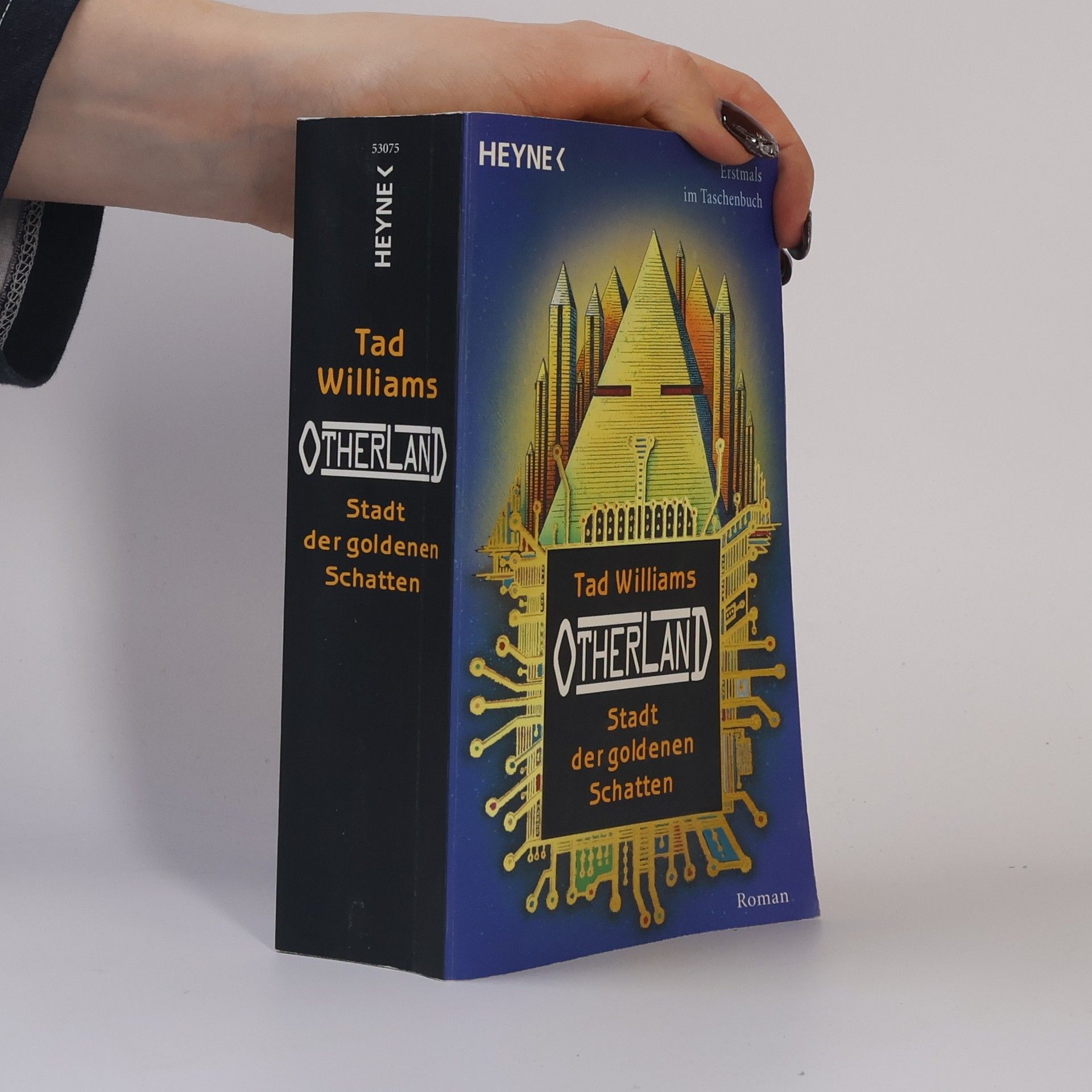 Tad Williams Otherland 1