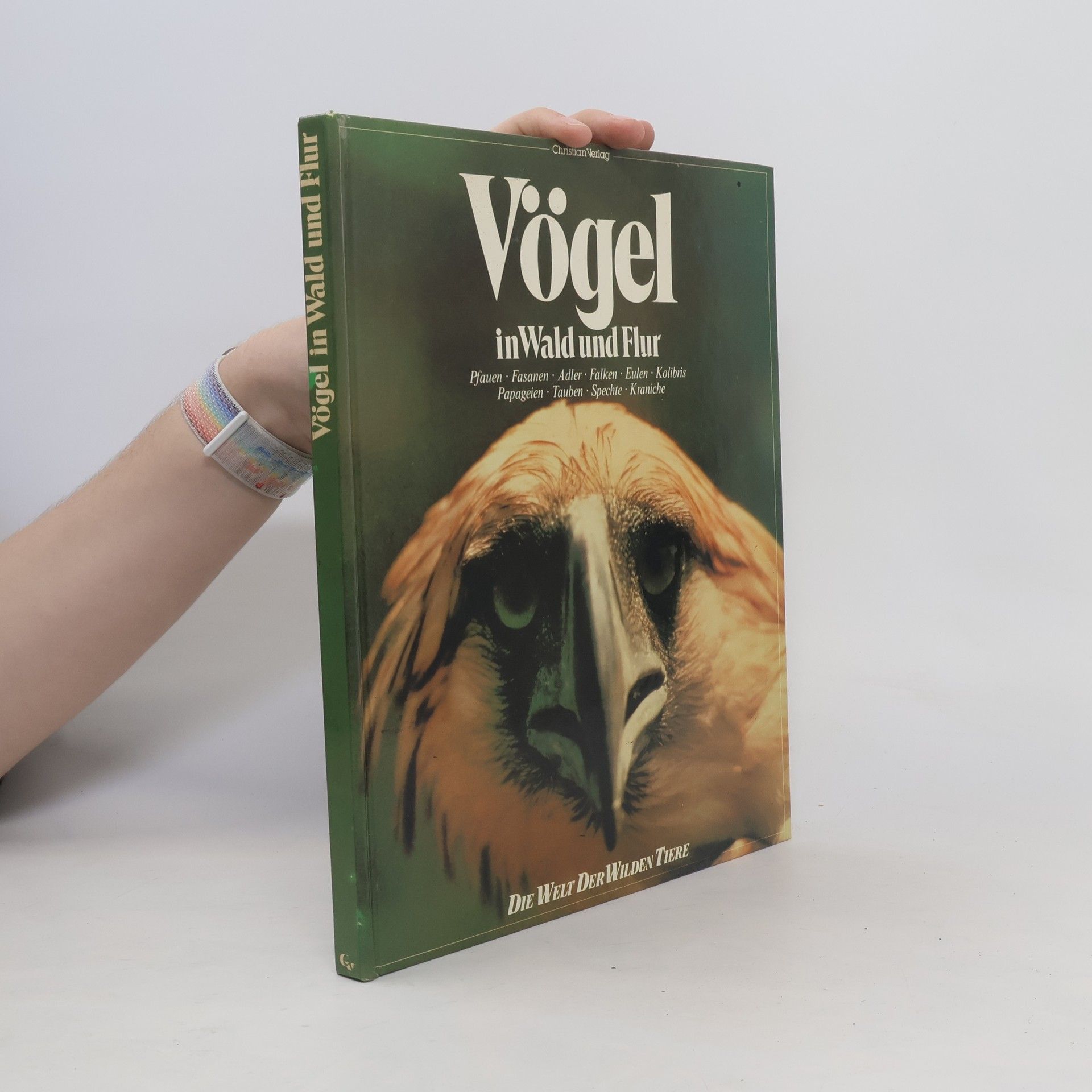 Autores varios Vögel in Wald und Flur