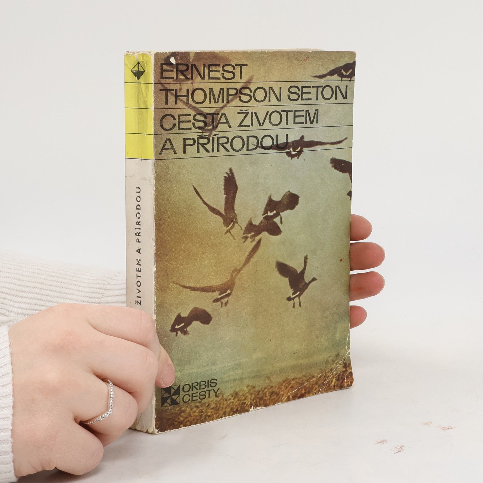 Ernest Thompson Seton Cesta životem a přírodou