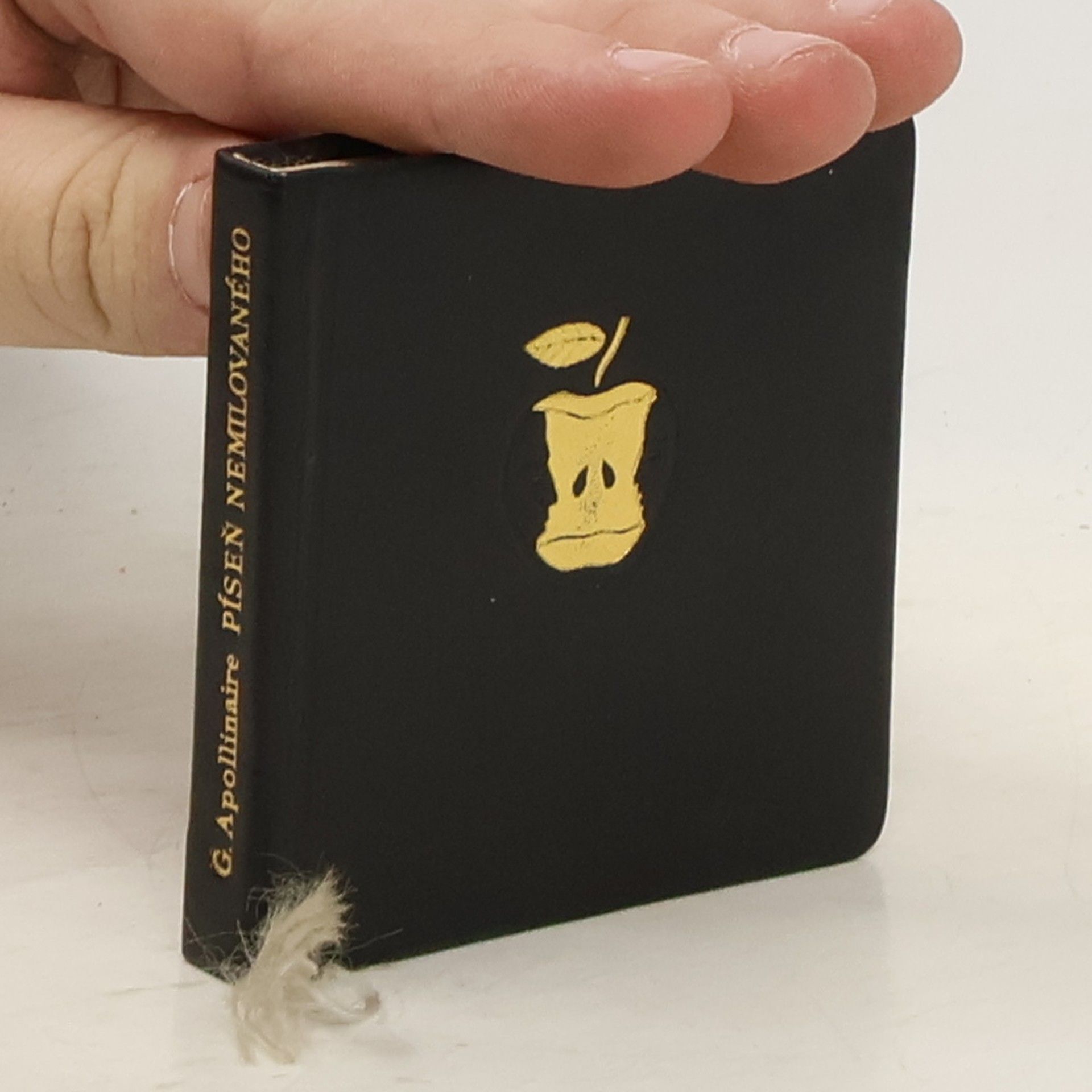 Guillaume Apollinaire Píseň nemilovaného a jiné písně