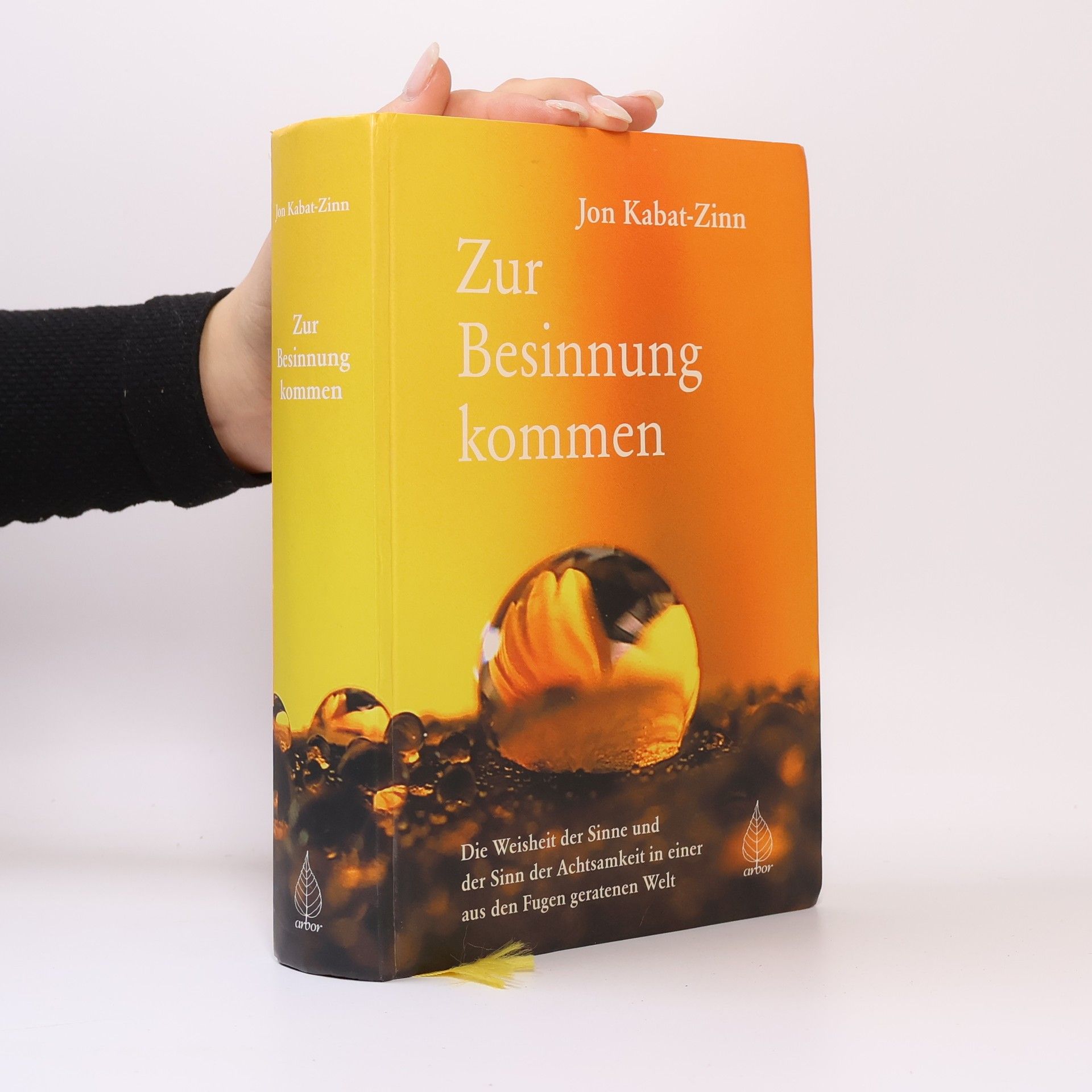 Jon Kabat-Zinn Zur Besinnung kommen