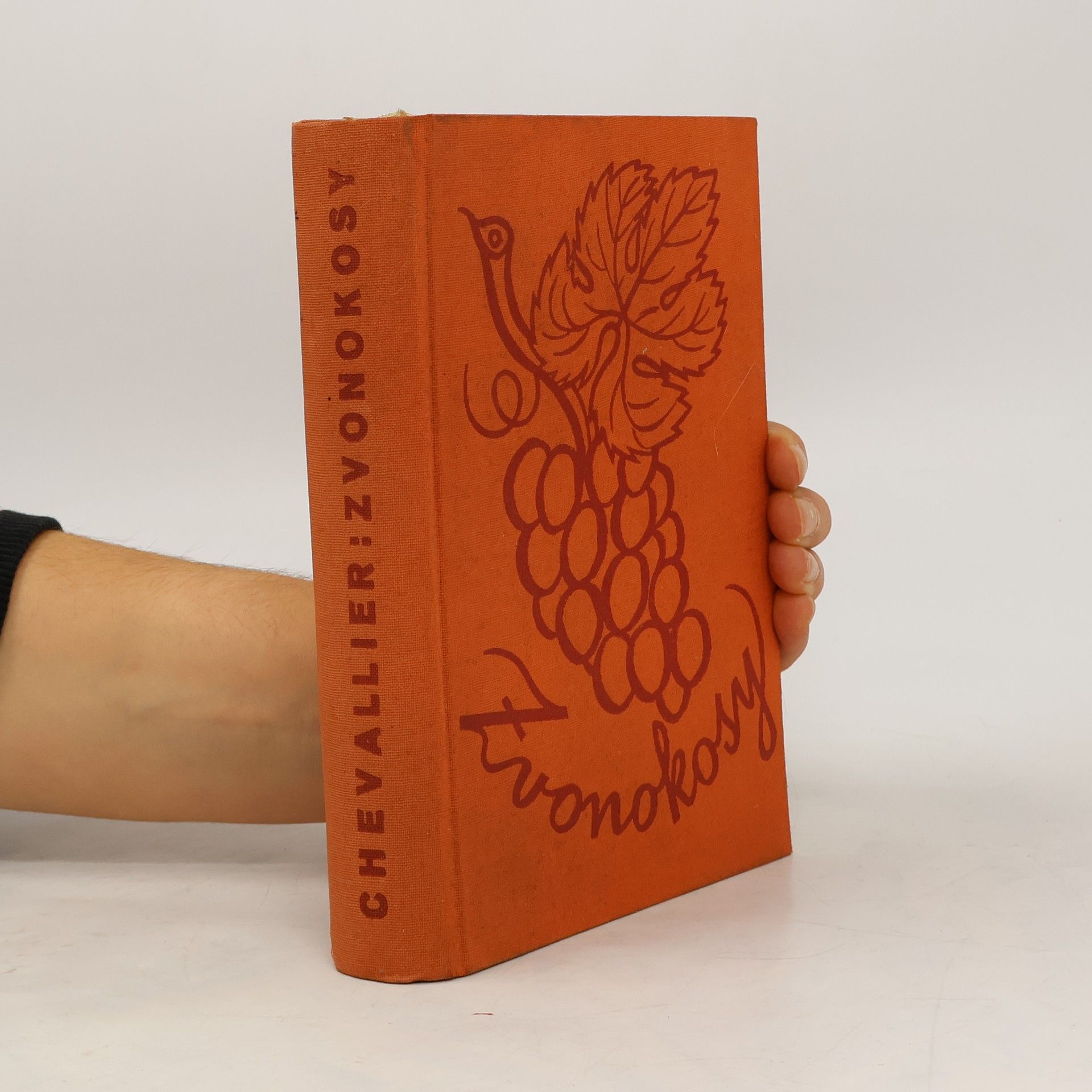 Gabriel Chevallier Zvonokosy