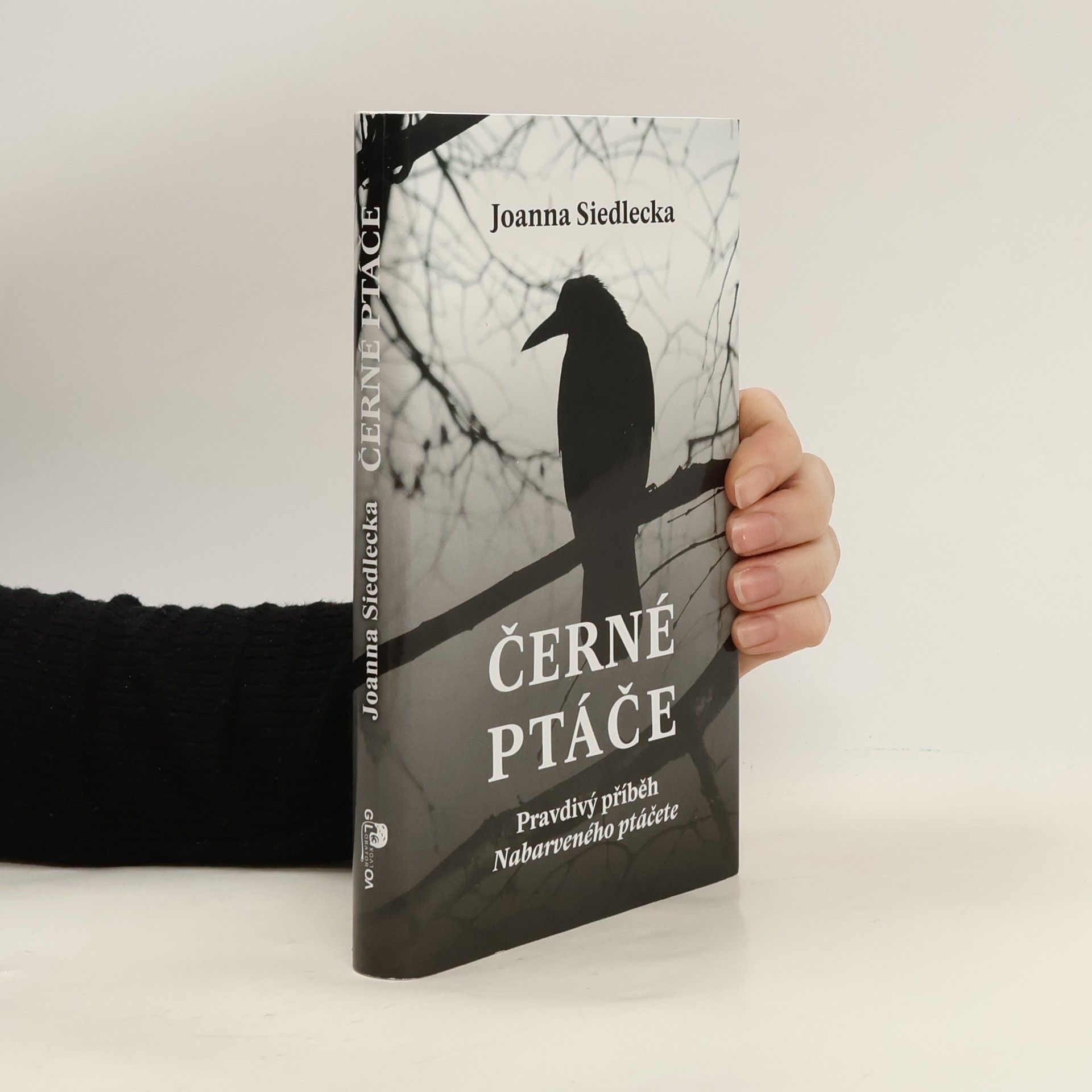 Joanna Siedlecka Černé ptáče : pravdivý příběh Nabarveného ptáčete