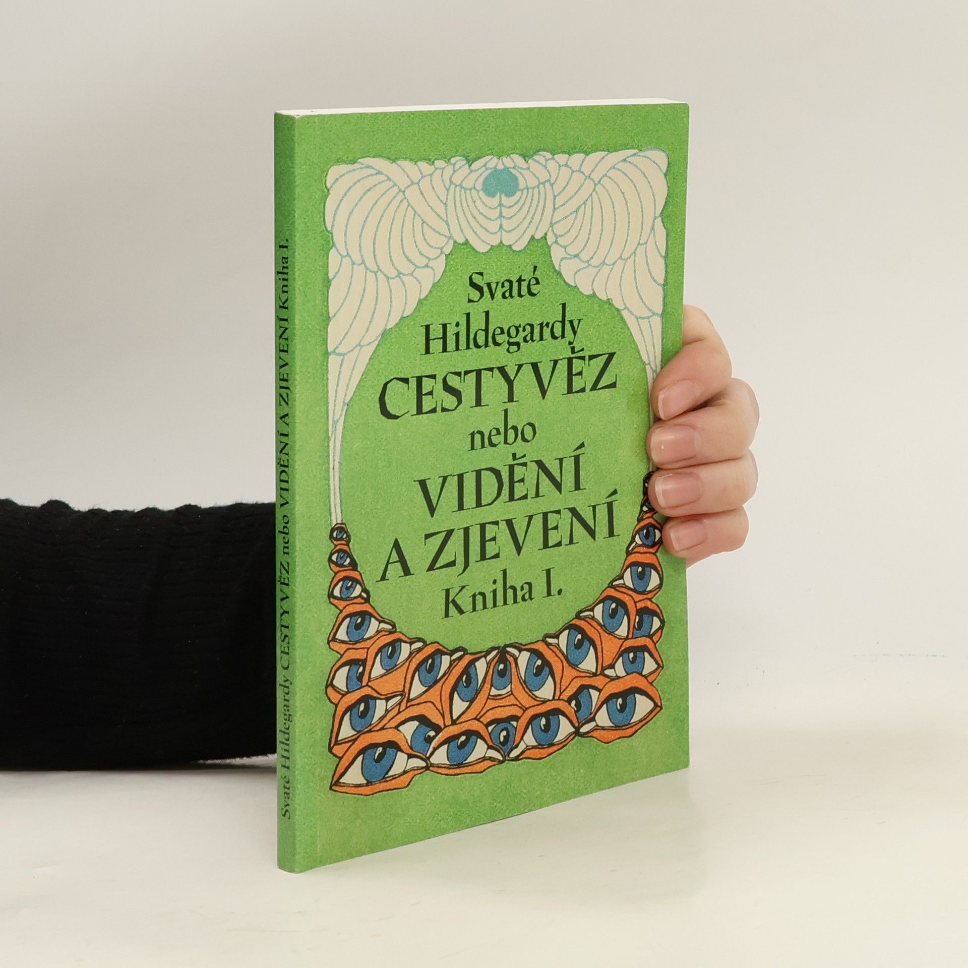 Svaté Hildegardy Cestyvěz nebo Vidění a zjevení. Kniha I.