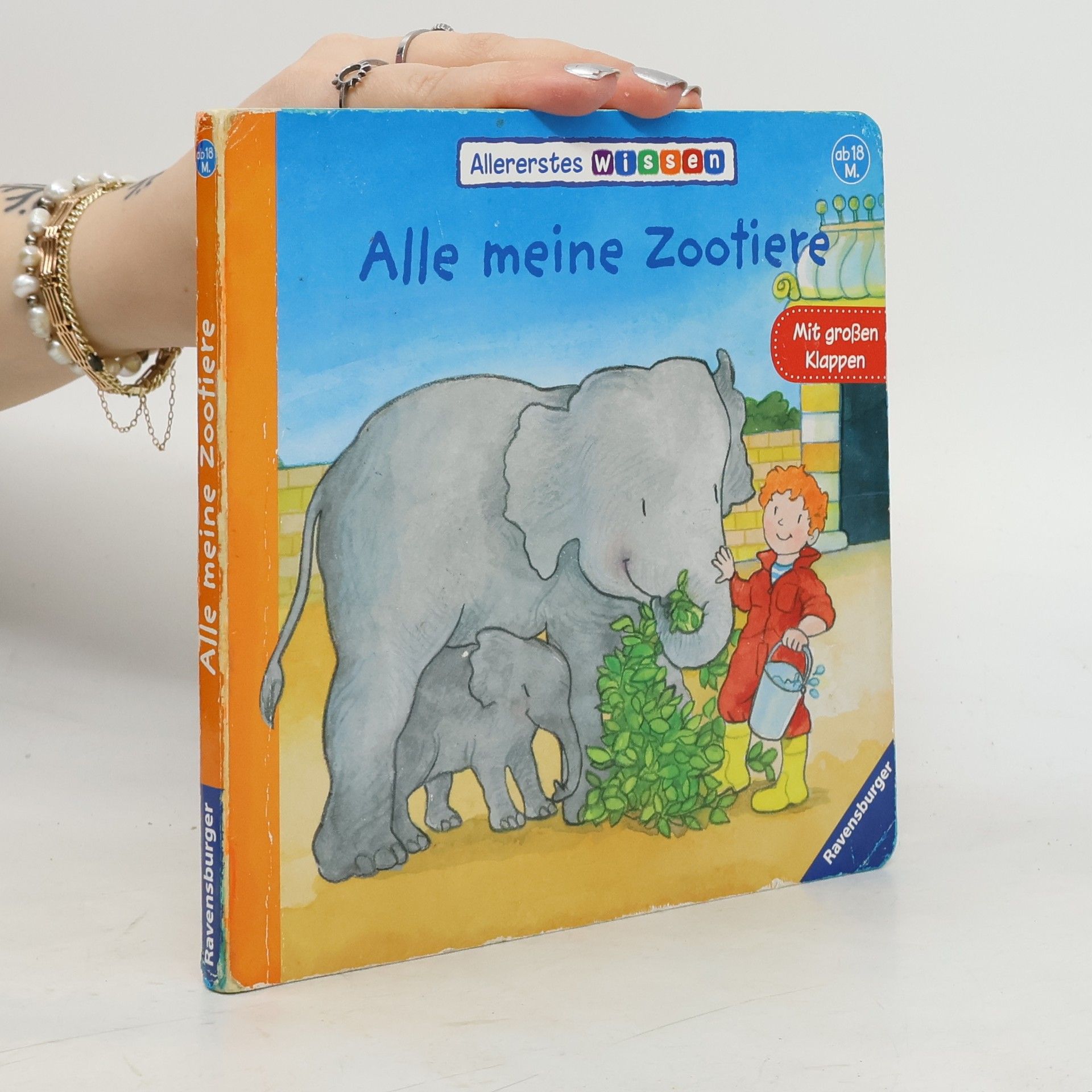 Martina Kohl Alle meine Zootiere