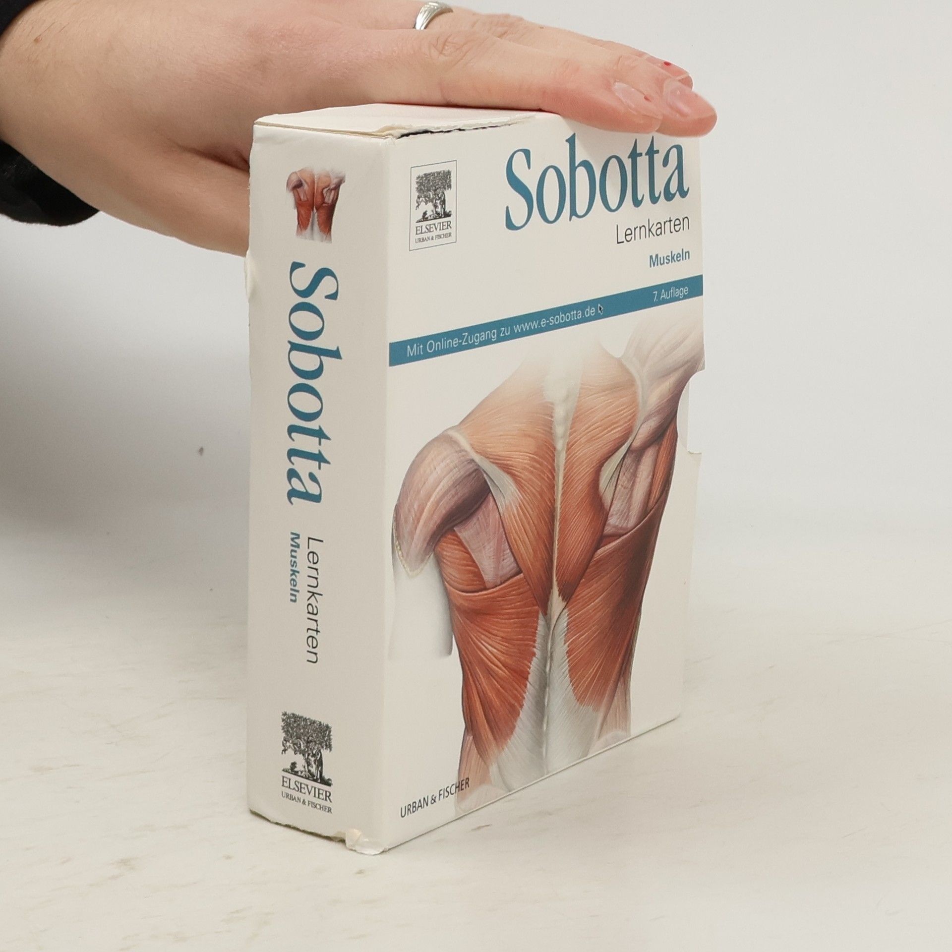 Auteurscollectief Sobotta - Lernkarten