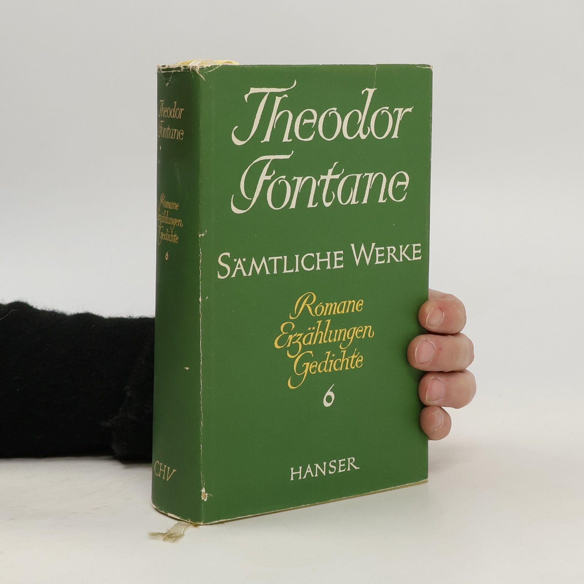 Theodor Fontane Sämtliche Werke 6