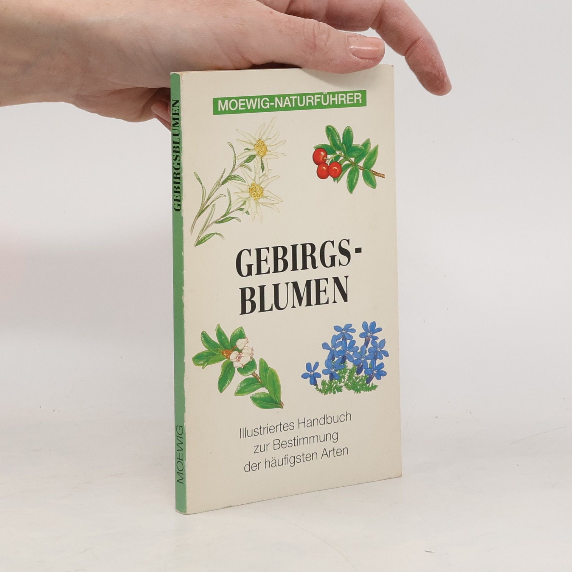 Eleanor Lawrence Und Cecilia Fitzsimons Moewi-Naturführer - Gebirgsblumen