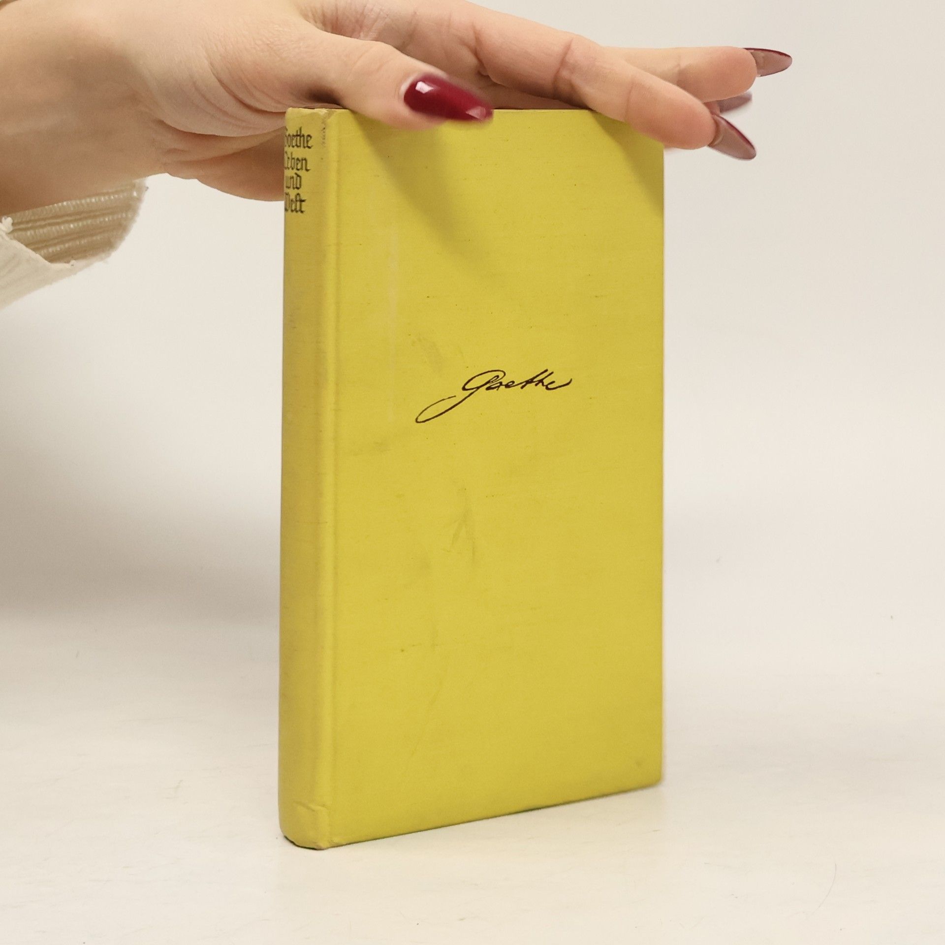 Johann Wolfgang von Goethe Goethe Leben und Welt