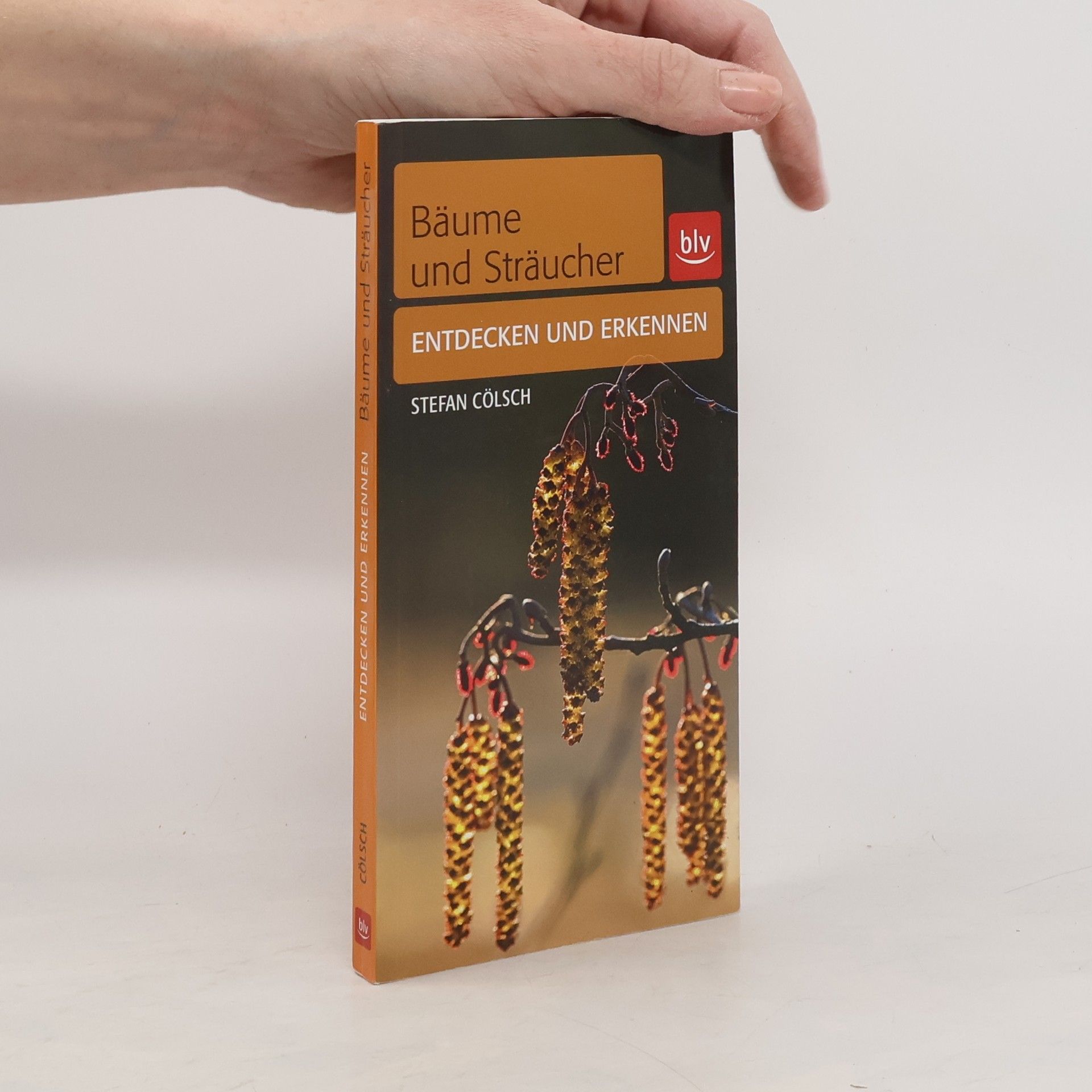 Stefan Cölsch Bäume und Sträucher entdecken und erkennen
