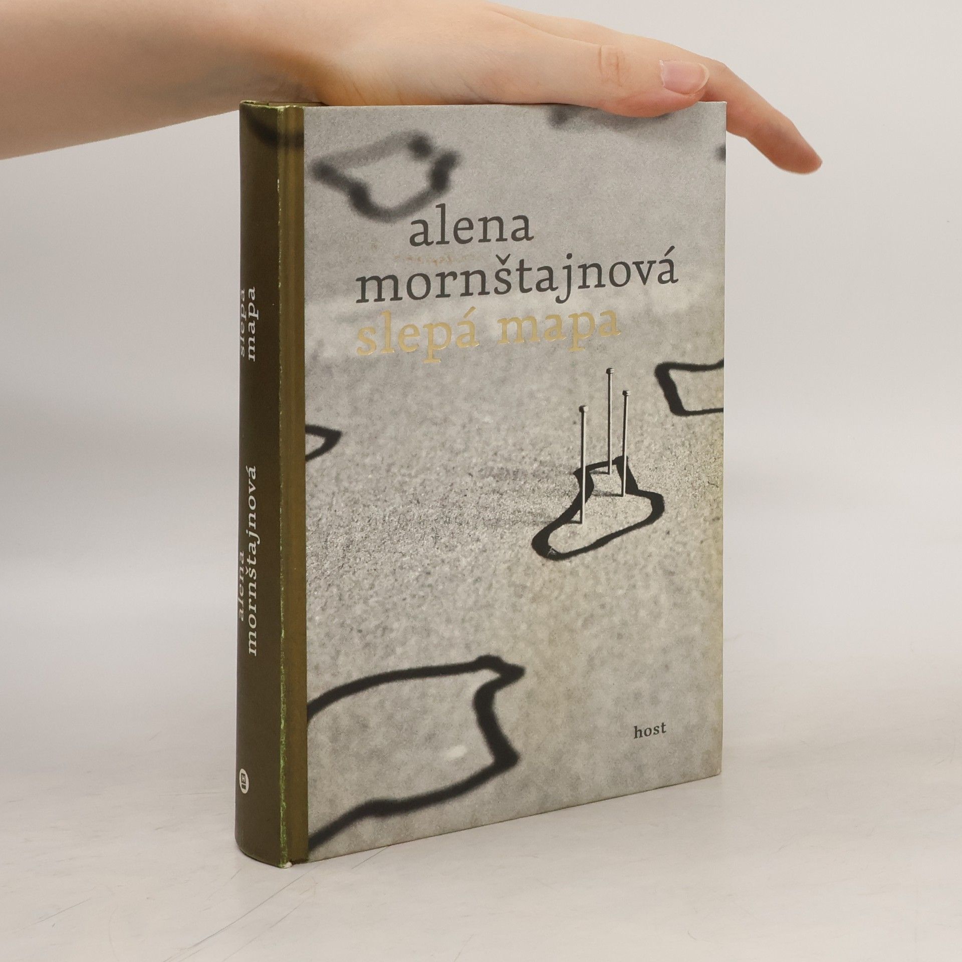 Alena Mornštajnová Slepá mapa