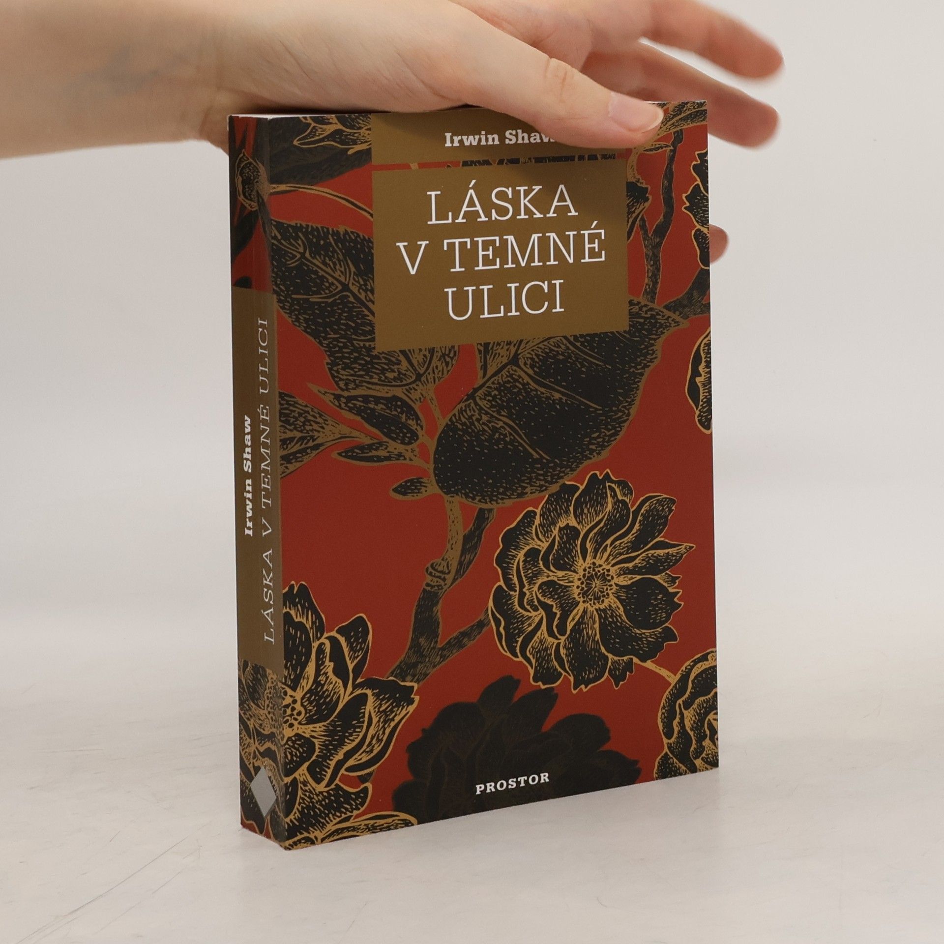 Irwin Shaw Láska v temné ulici