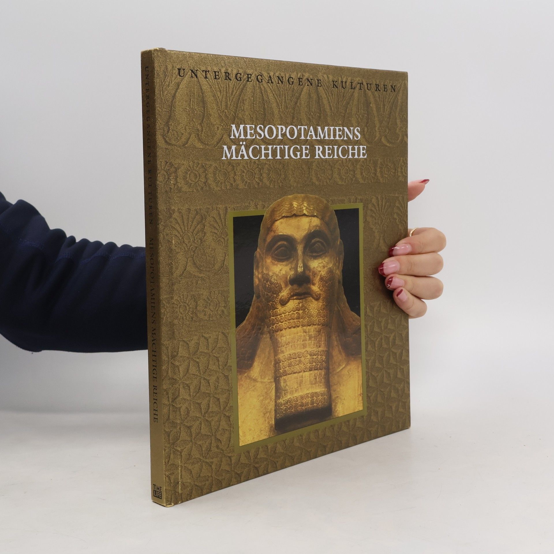 Kolektív autorov Mesopotamiens mächtige Reiche