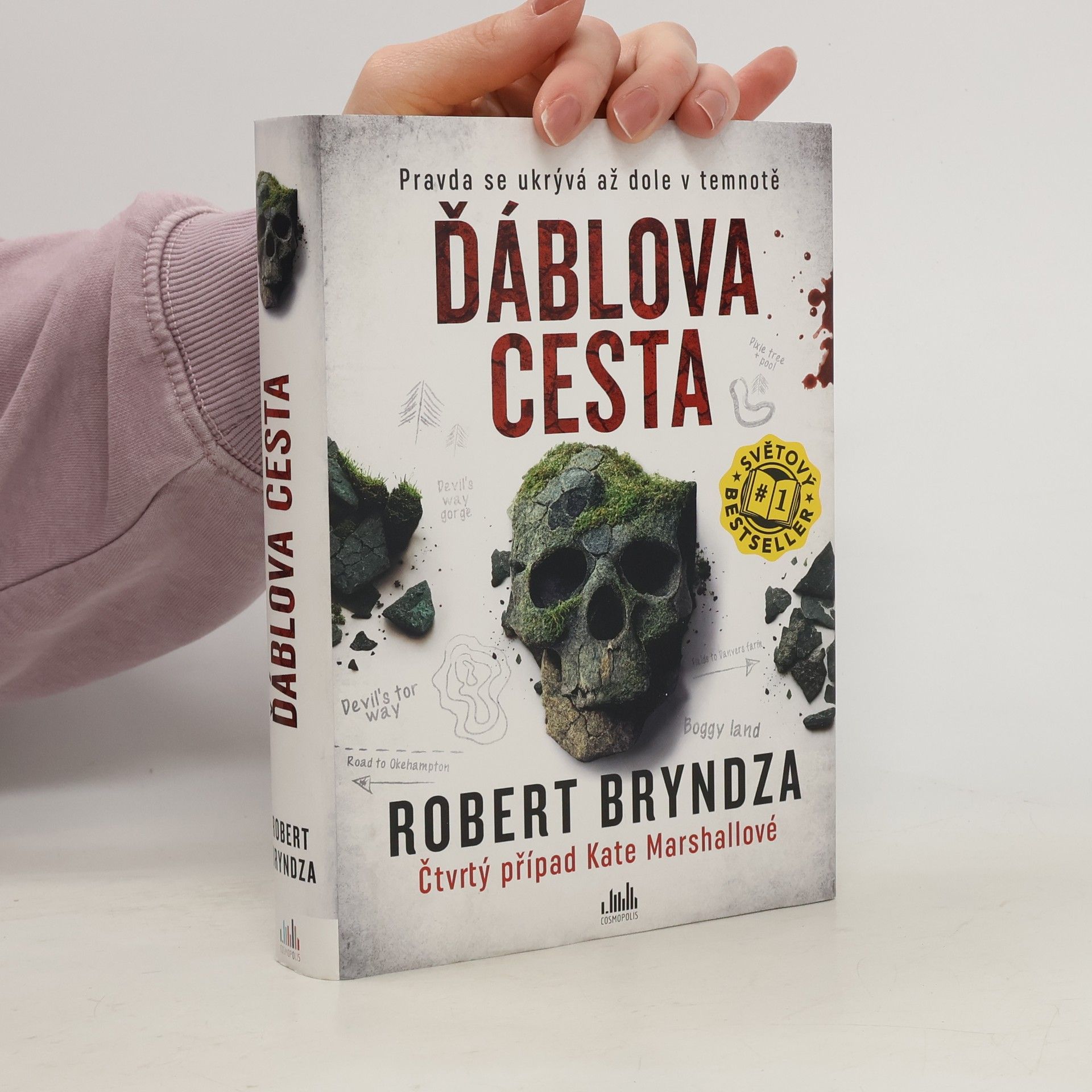 Robert Bryndza Ďáblova cesta