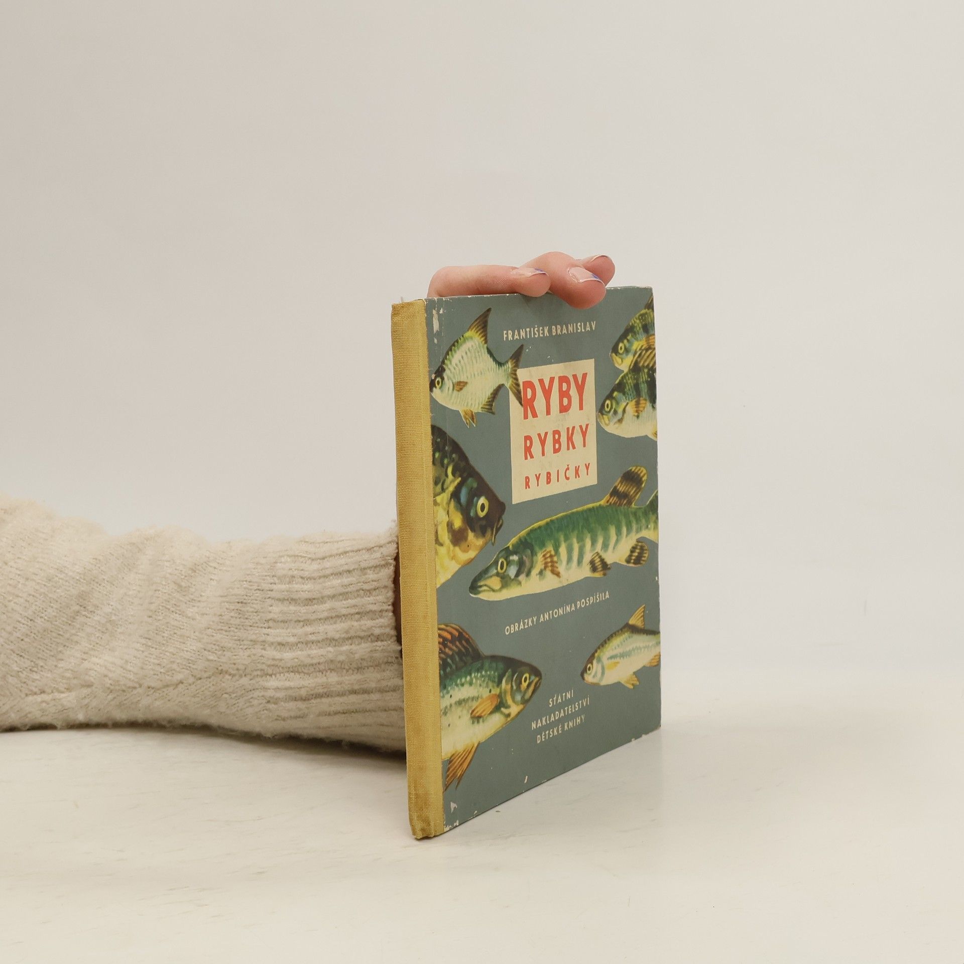 Antonín Pospíšil Ryby, rybky, rybičky