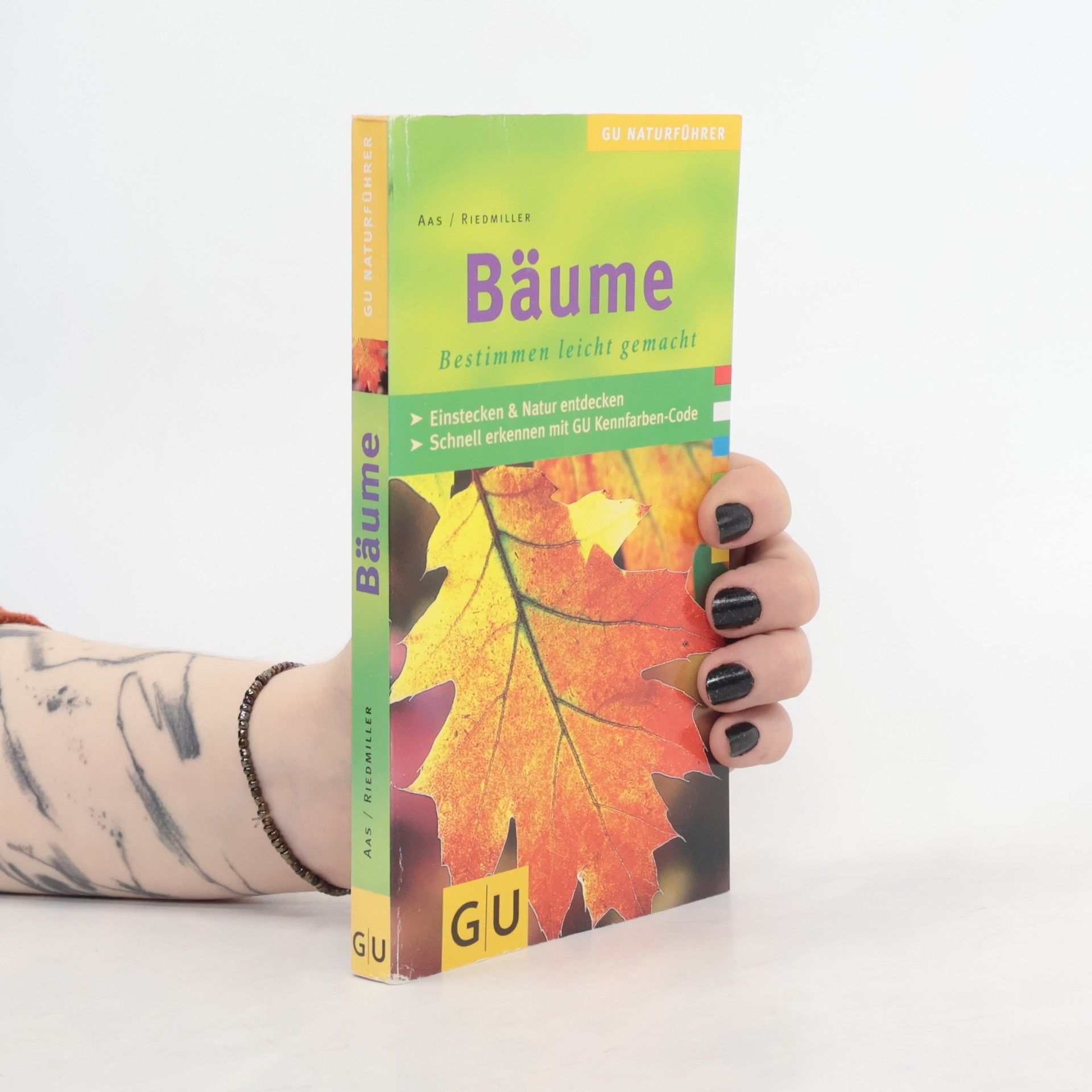 Gregor Aas Bäume. Bestimmen leicht gemacht