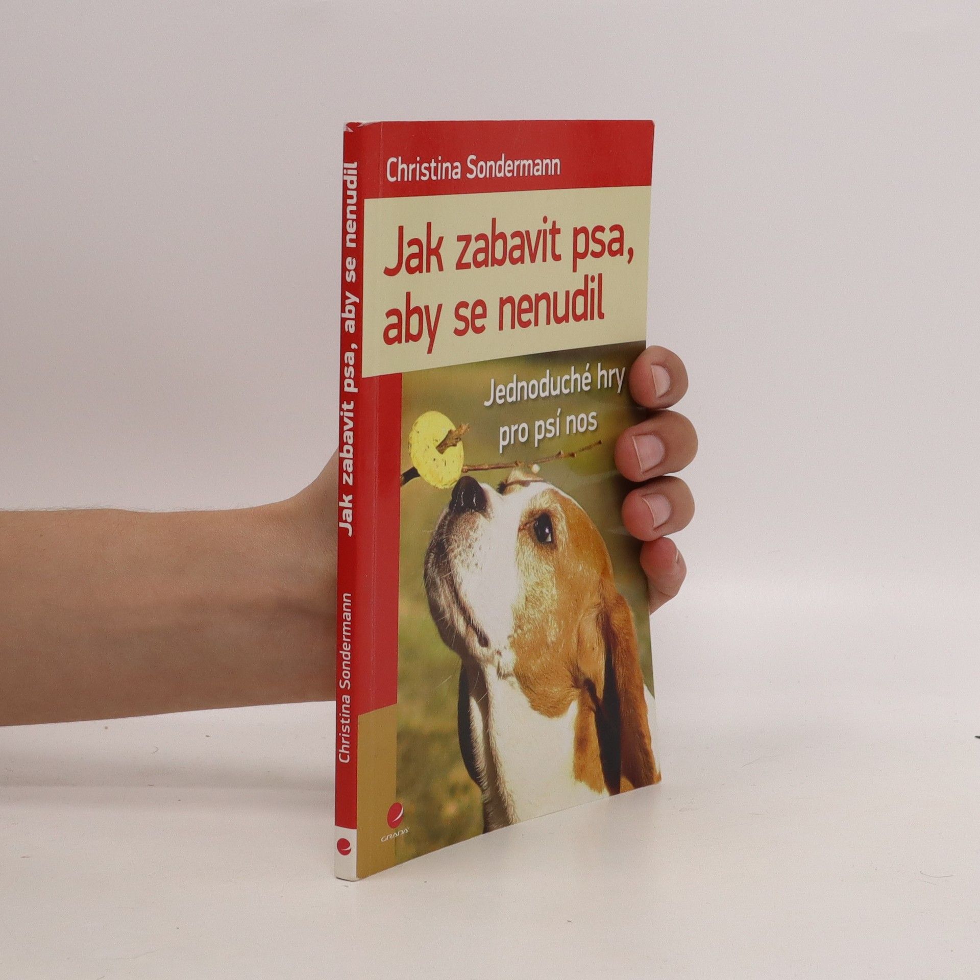 Christina Sondermann Jak zabavit psa, aby se nenudil : jednoduché hry pro psí nos