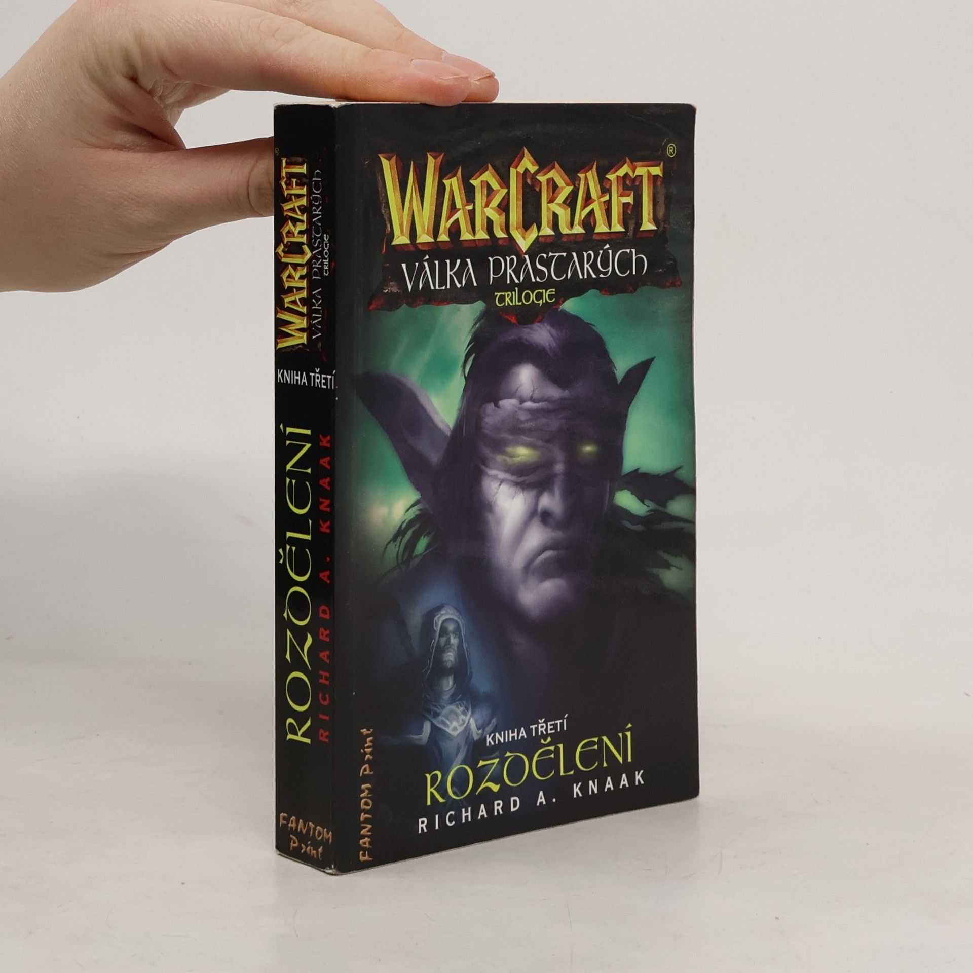 Richard A. Knaak WarCraft. Válka Prastarých 3. Rozdělení