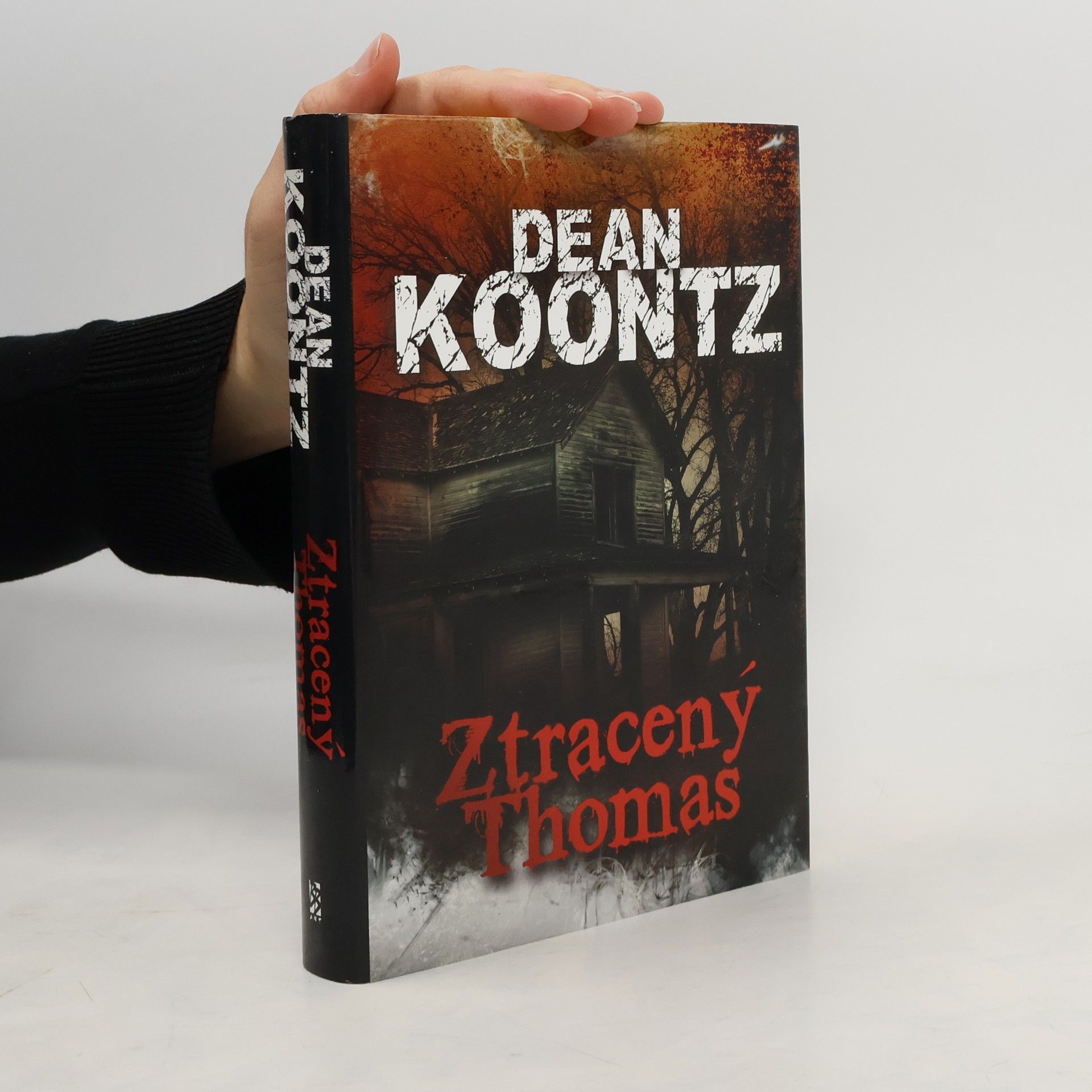 Dean R. Koontz Ztracený Thomas