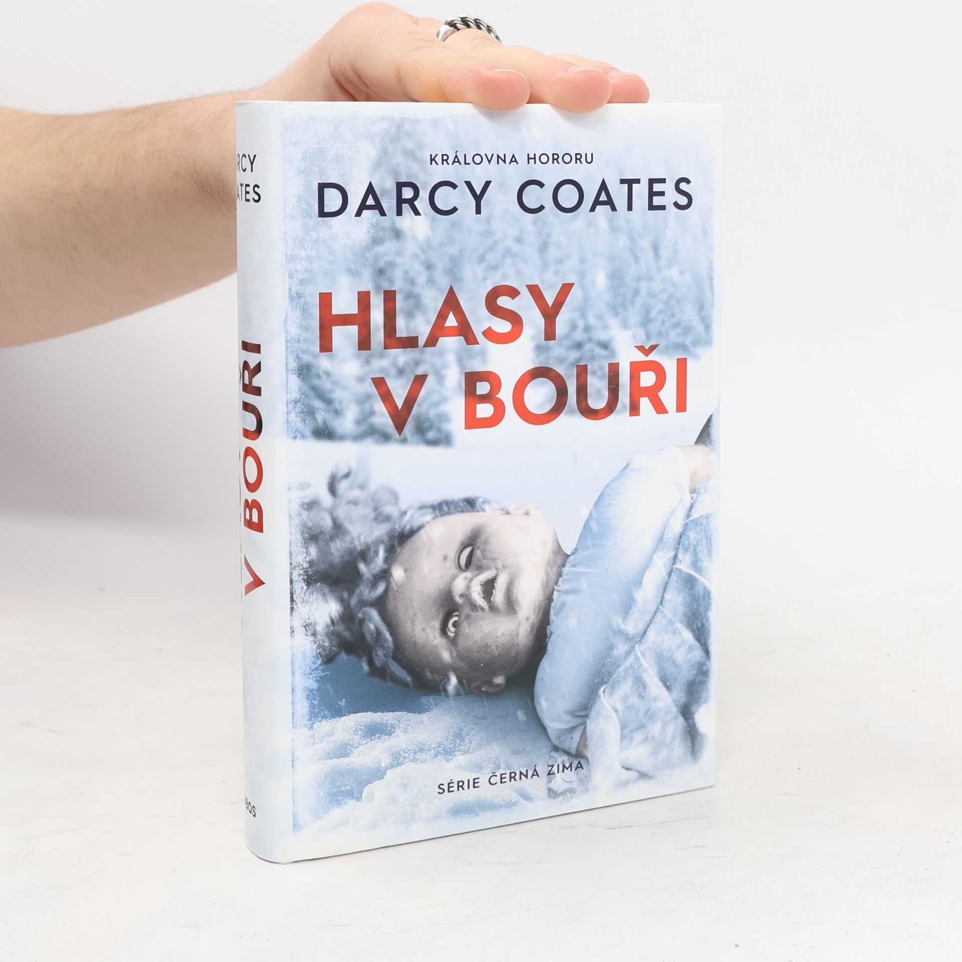 Darcy Coates Hlasy v bouři