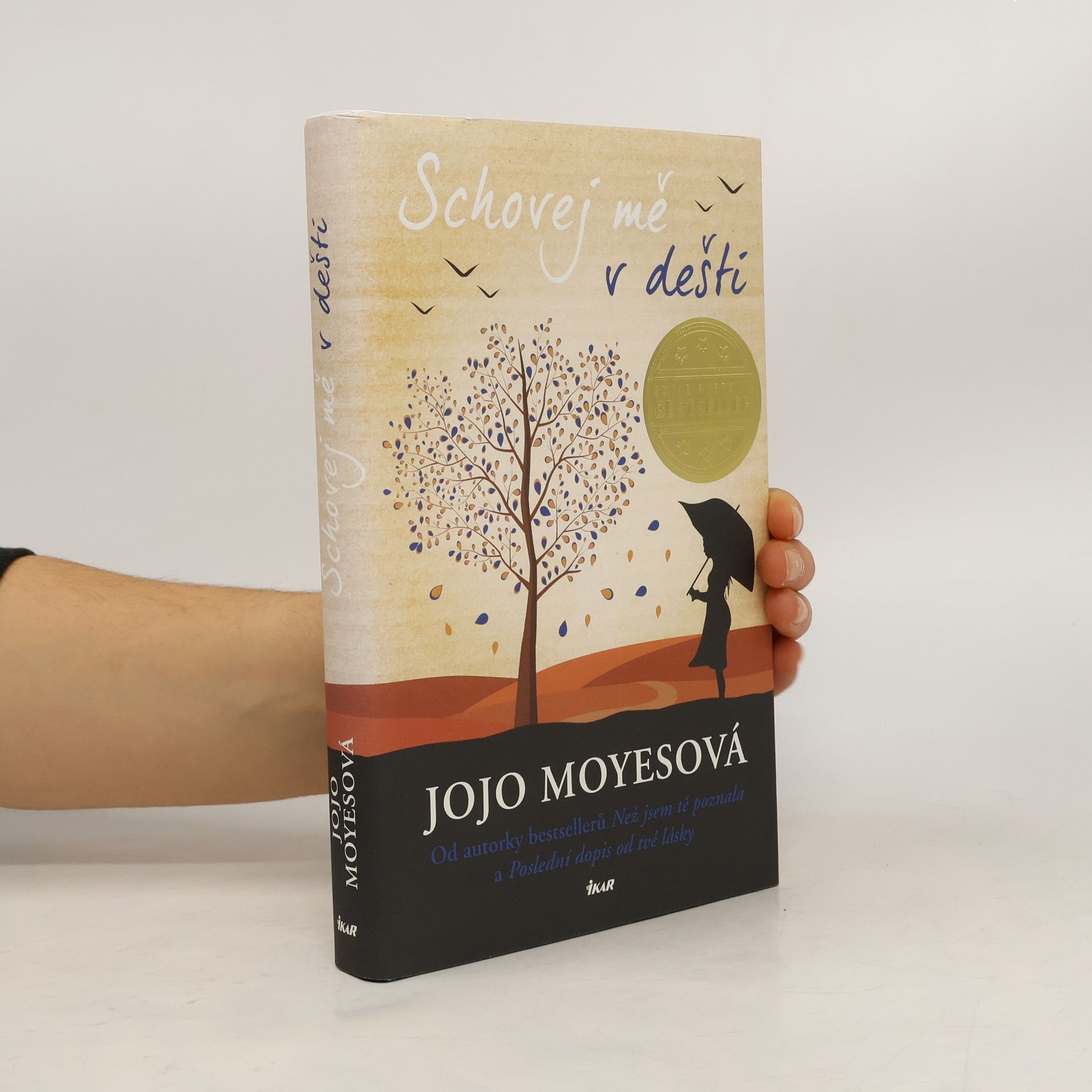 Jojo Moyes Schovej mě v dešti