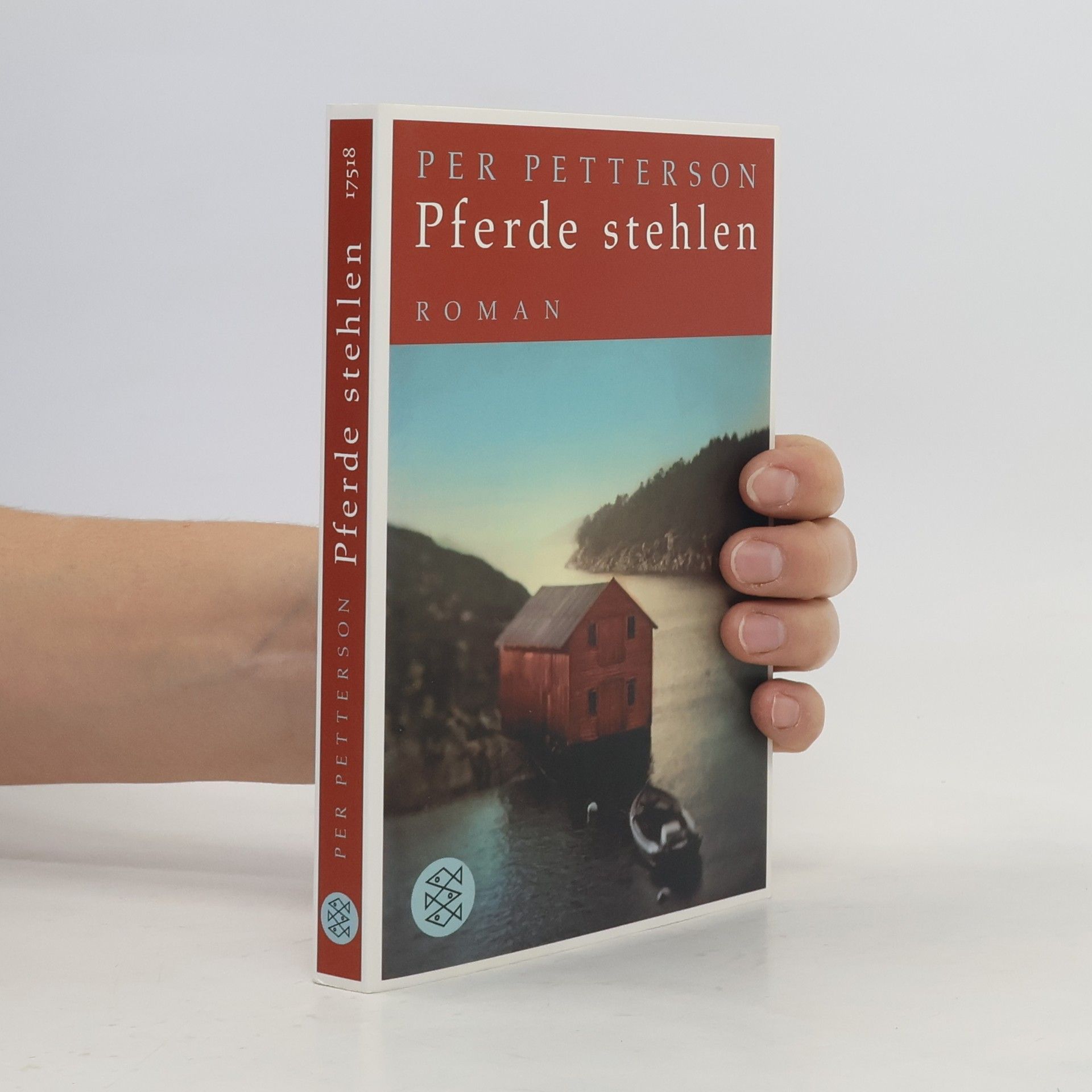 Per Petterson Pferde stehlen