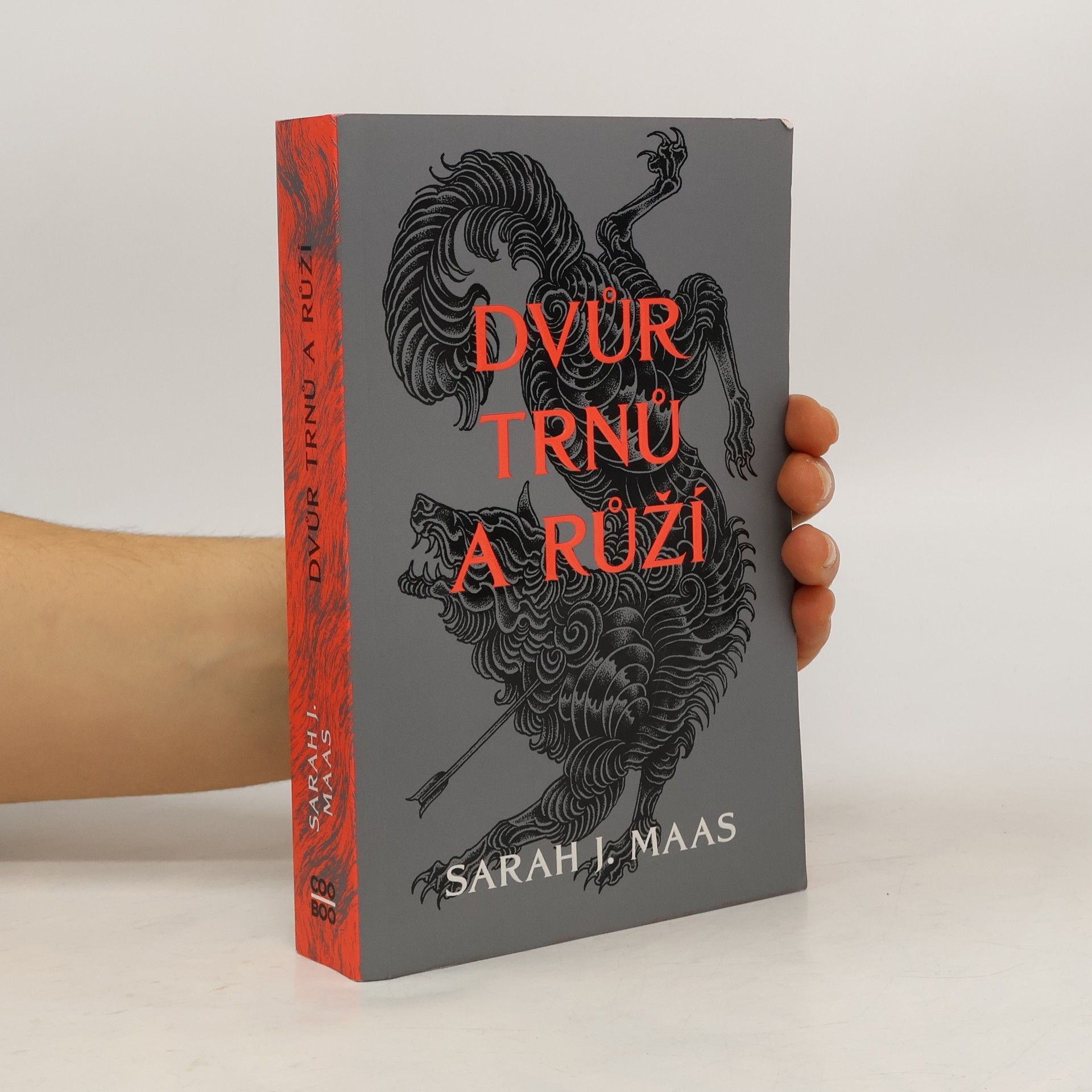 Sarah J. Maas Dvůr trnů a růží