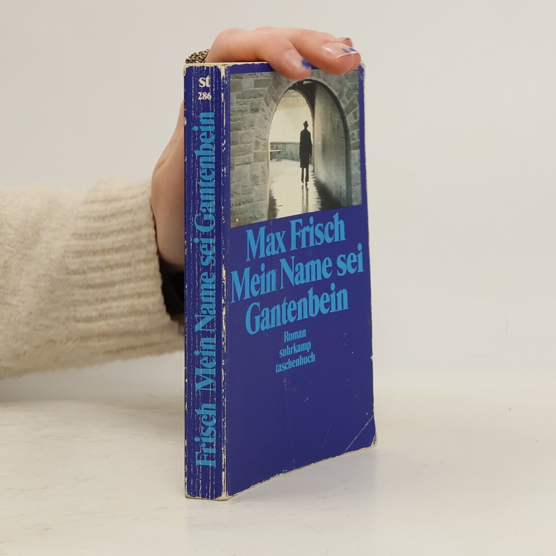 Max Frisch Mein Name sei Gantenbein