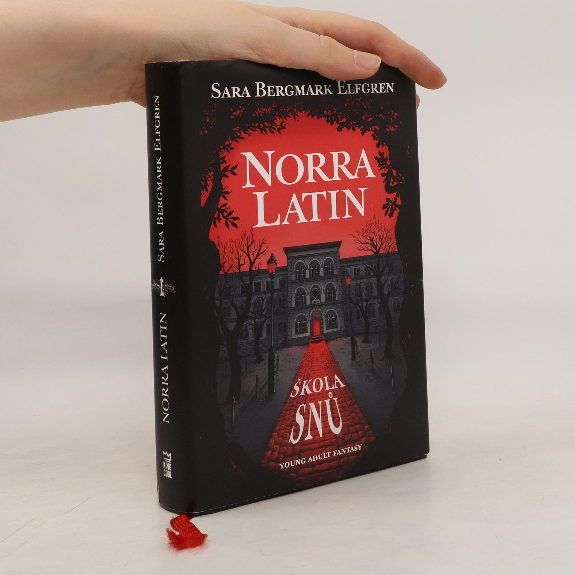 Sara Bergmark Elfgren Norra Latin. Škola snů